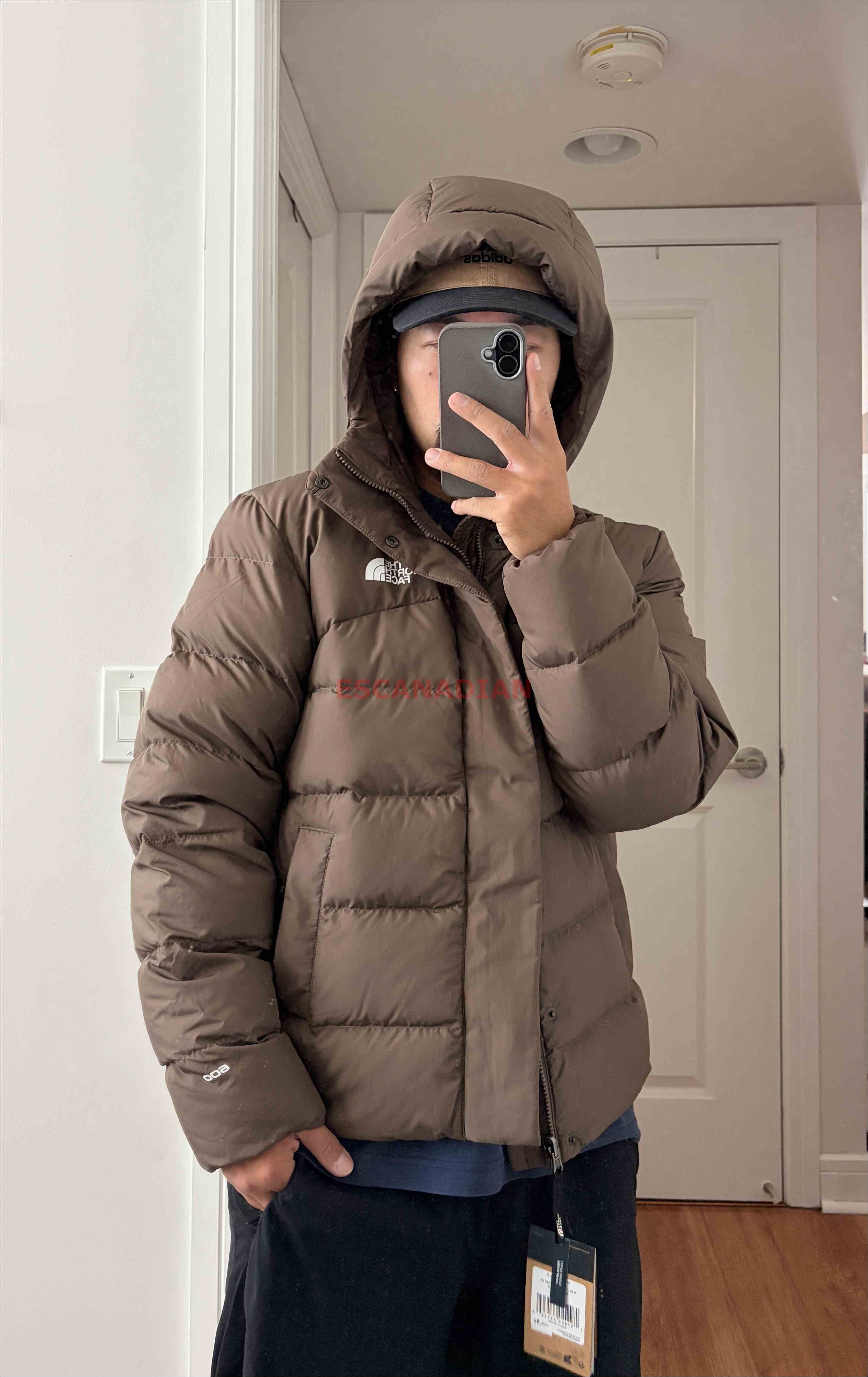 THE NORTH FACE 男大人 Baltic Puffer系列 防潑水 600蓬鬆羽絨 連帽外套