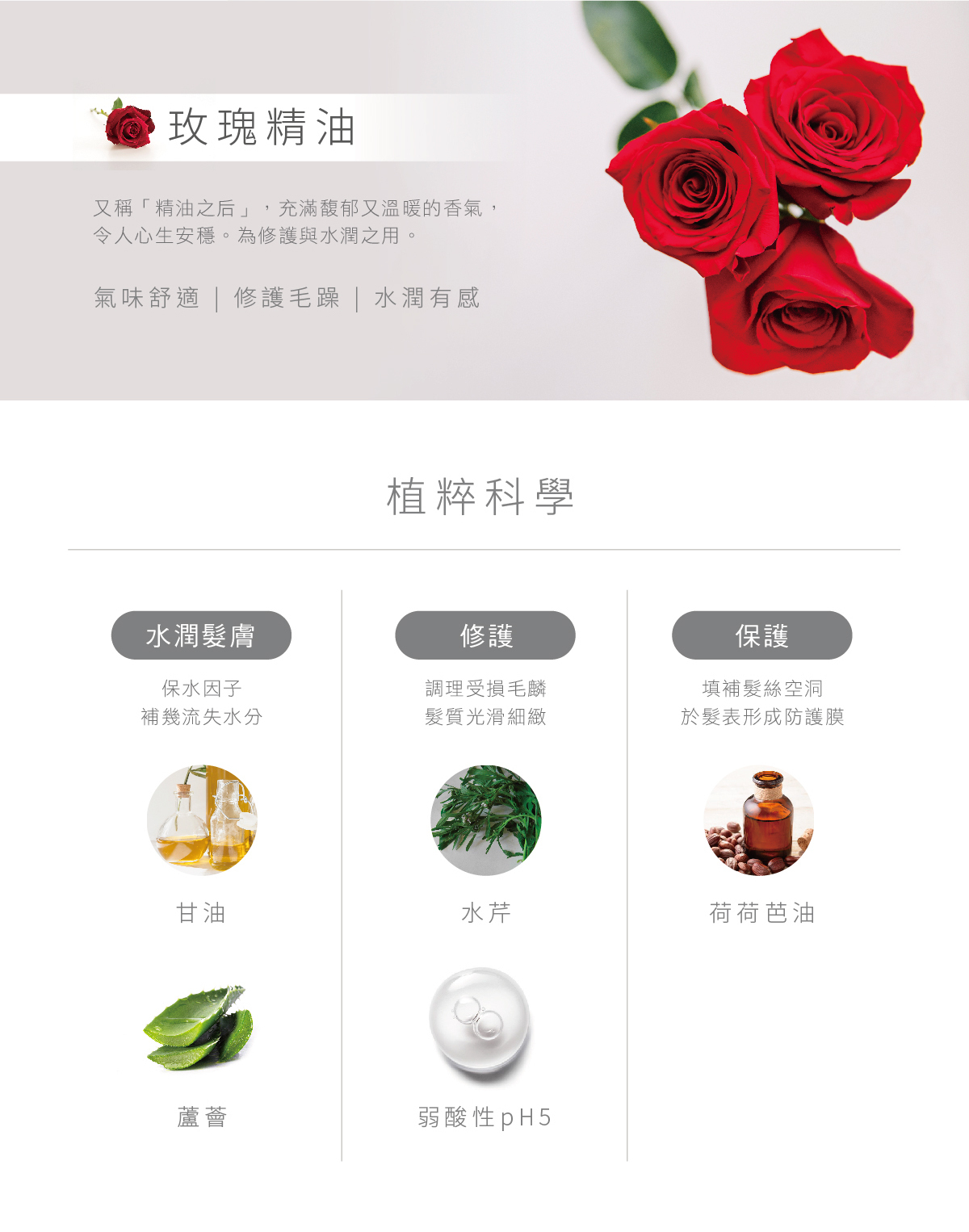 玫瑰精油,又稱精油之后,充滿馥郁又溫暖的香氣,令人心生安穩,為修護與水潤之用,氣味舒適,修護毛躁,水潤有感,植粹科學,水潤髮膚,保濕因子,補給流失水分,修護,調理受損毛麟,髮質光滑細膩,保護,填補髮絲空洞,於髮表形成防護膜