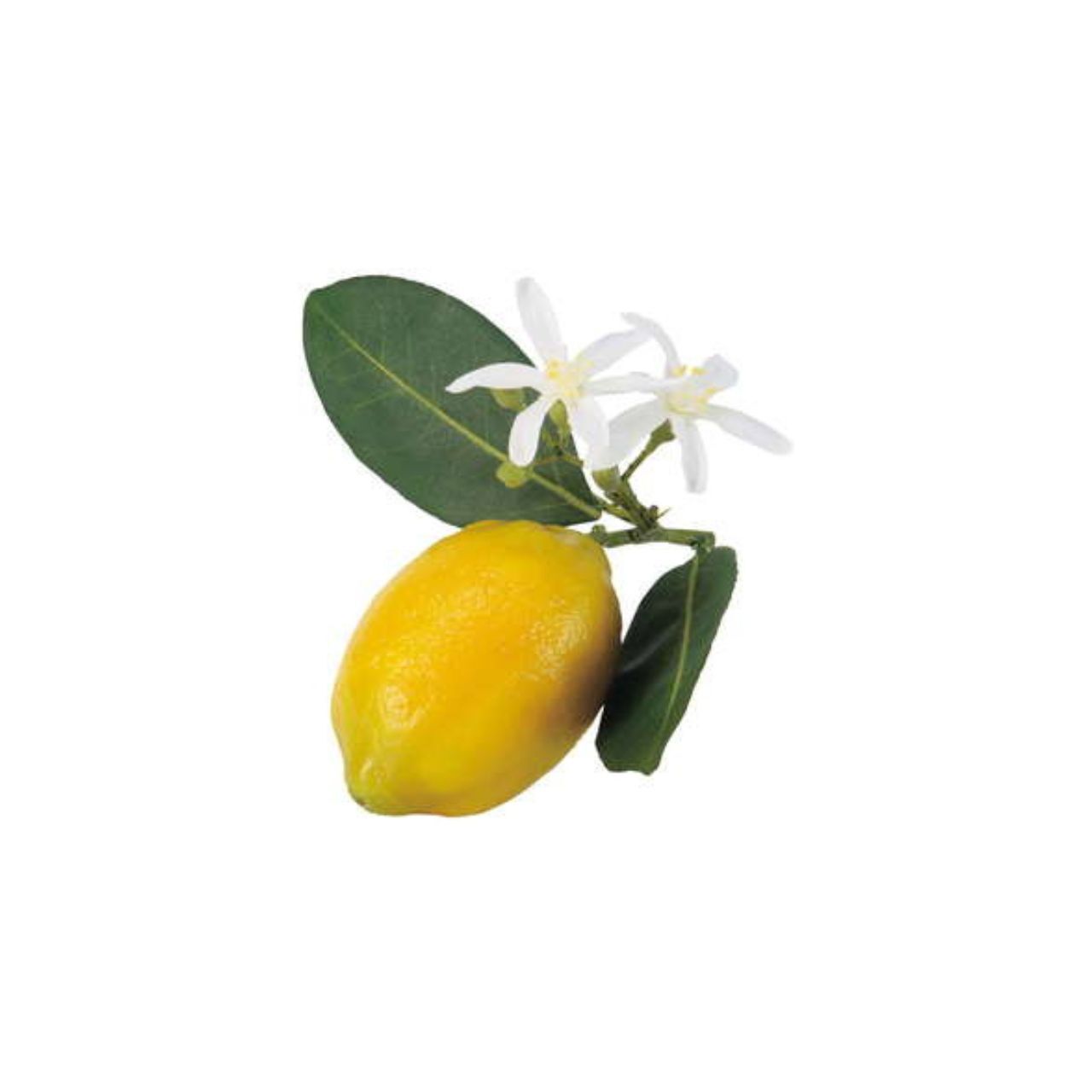 裝飾 人造果  檸檬含花葉 單入
