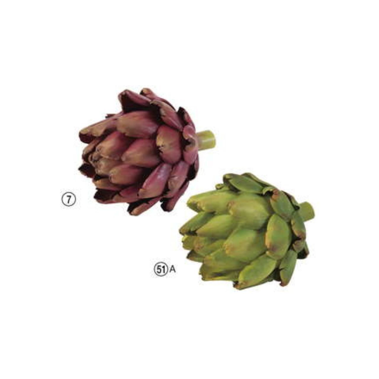 人造果  洋薊果實 2色