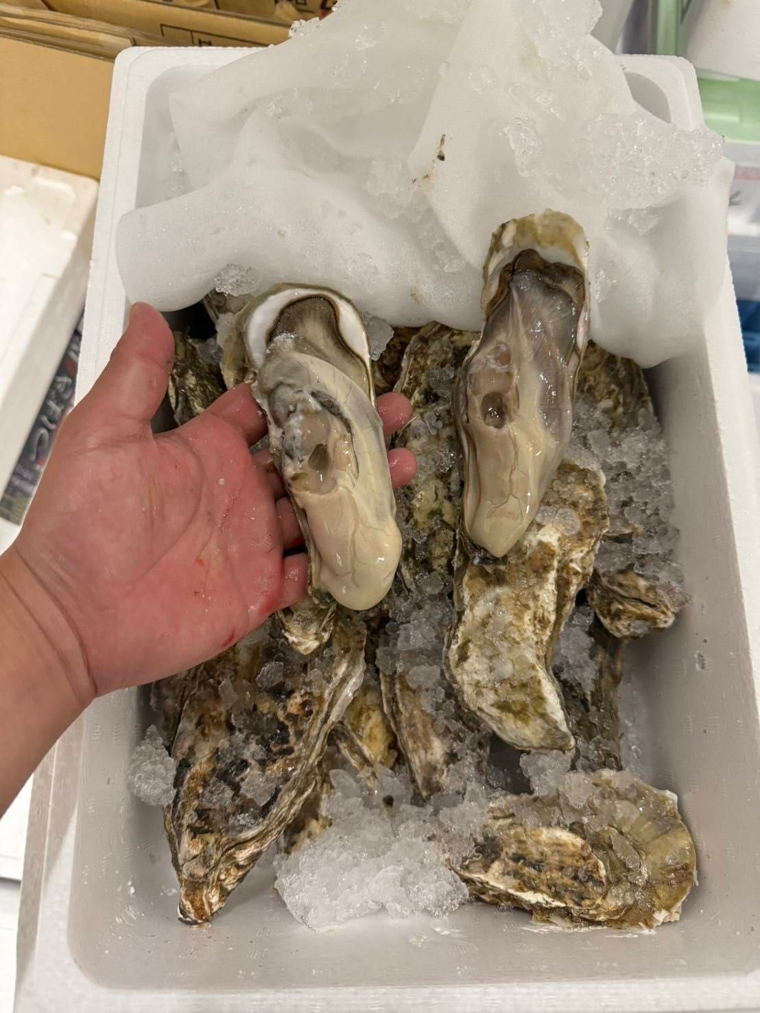 北海道 厚岸ガキカキくんまるえもん 3L