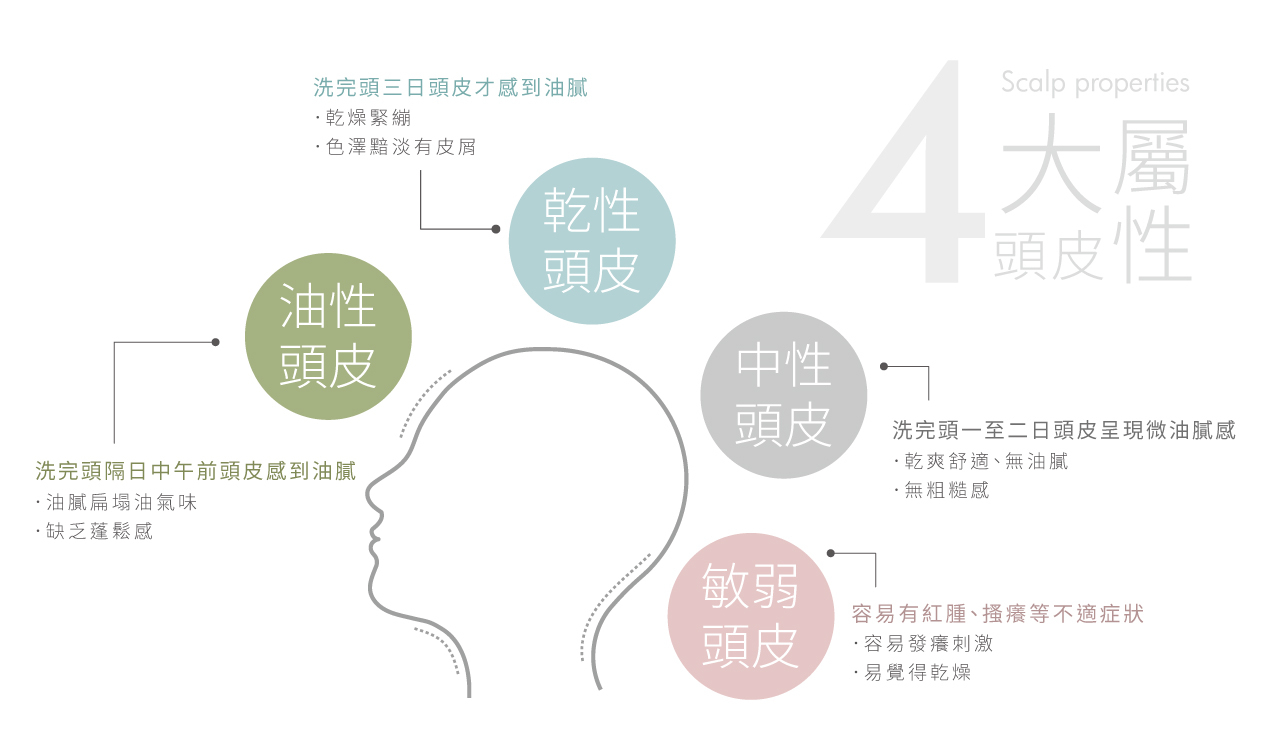 4大頭皮屬性,油姓,乾性,中性,敏弱