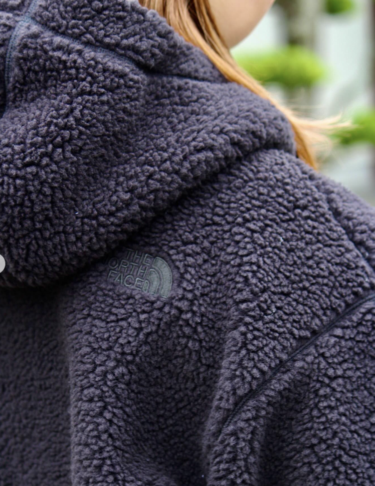 預購┃日本 THE NORTH FACE 直營限定 Extreme Pile Hoodie Jacket 羊羔絨 刷毛 連帽 外套