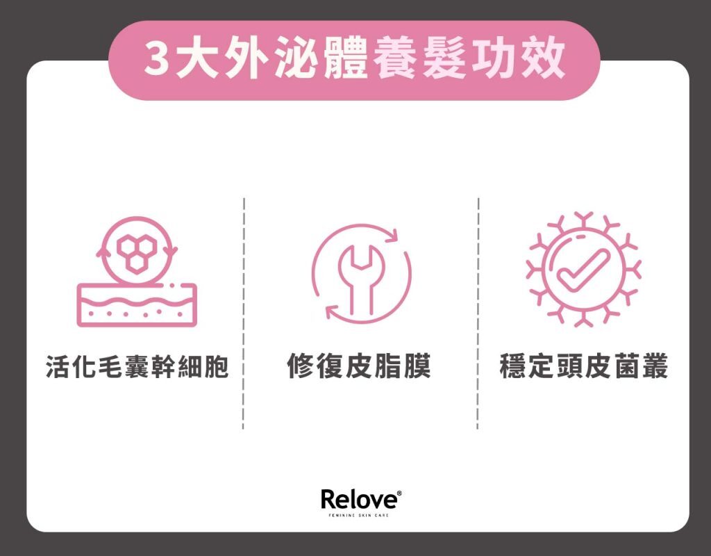 外泌體