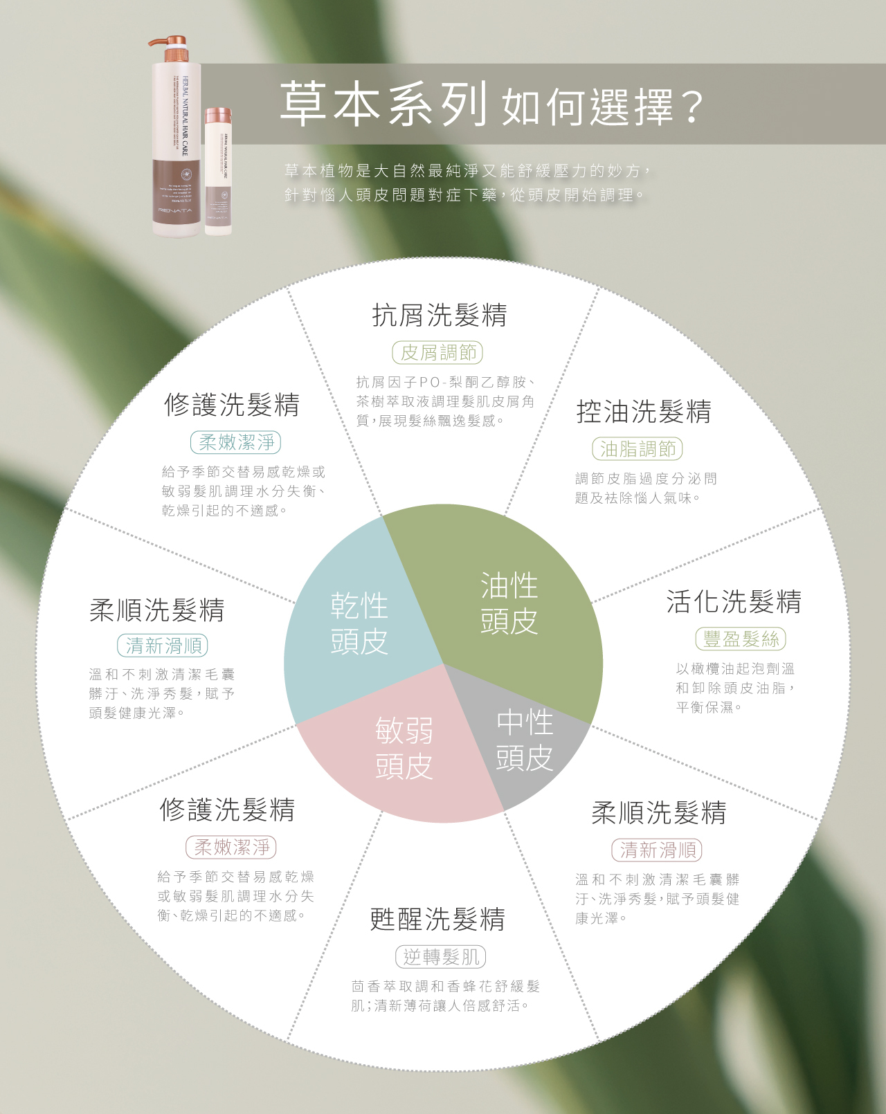 草本系列如何選擇,草本植物是大自然最純淨又能舒緩壓力的妙方,針對惱人頭皮問題對症下藥,從頭皮開始調理,乾性頭皮,油性頭皮,敏弱頭皮,中性頭皮