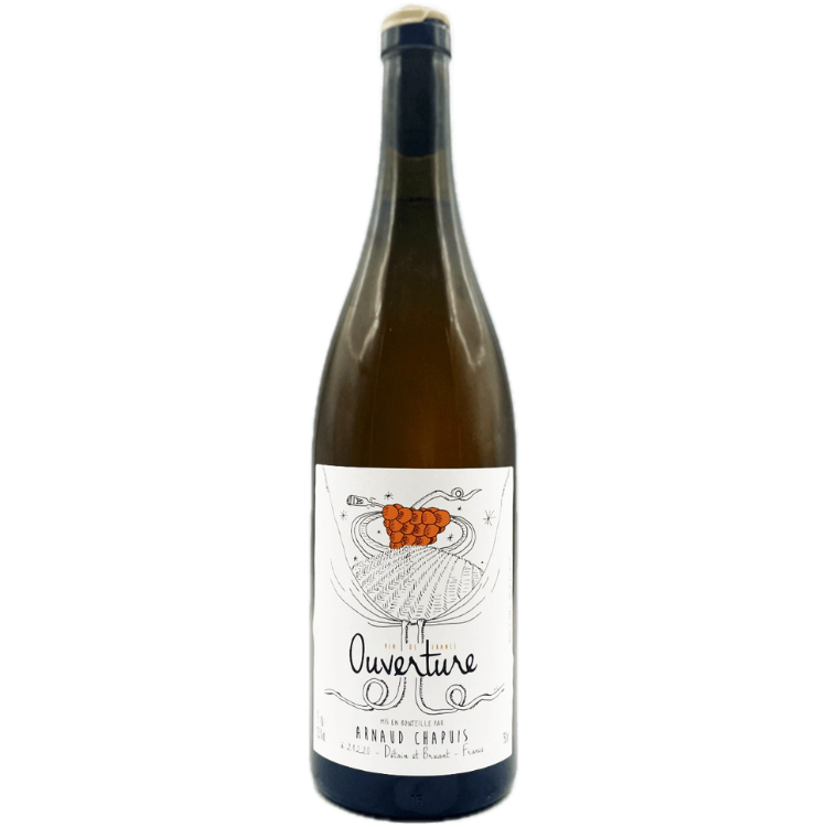 Arnaud Chapuis Bourgogne Aligote Maceration 2023