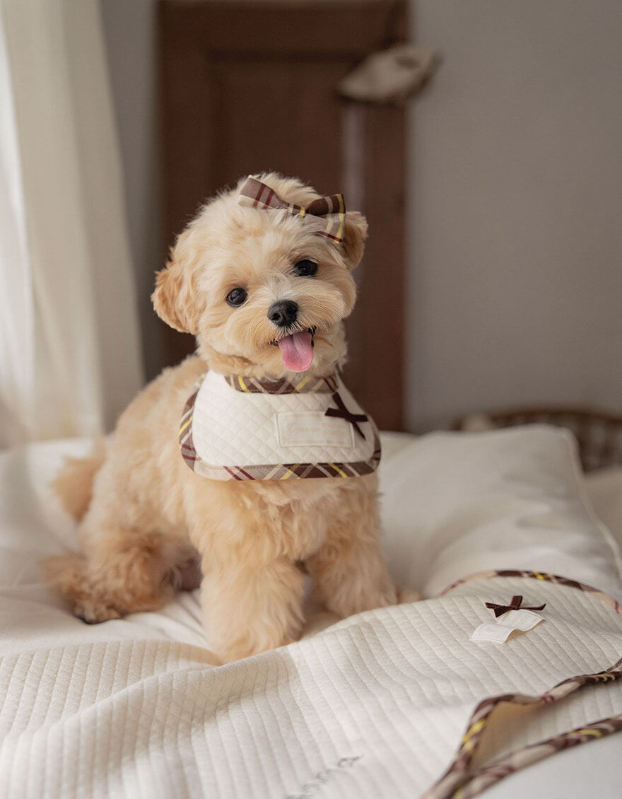 OPAAAP x OWWW Studio 有機棉縫絎格紋圍兜兜