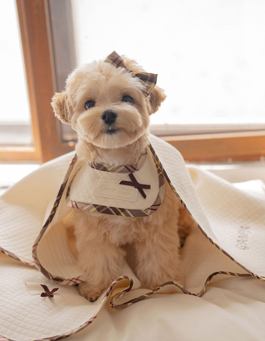 OPAAAP x OWWW Studio 有機棉縫絎格紋圍兜兜