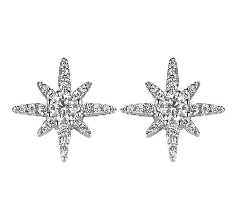 AP28 E3647 0.55CT Polaris Earrings 北極星 $380