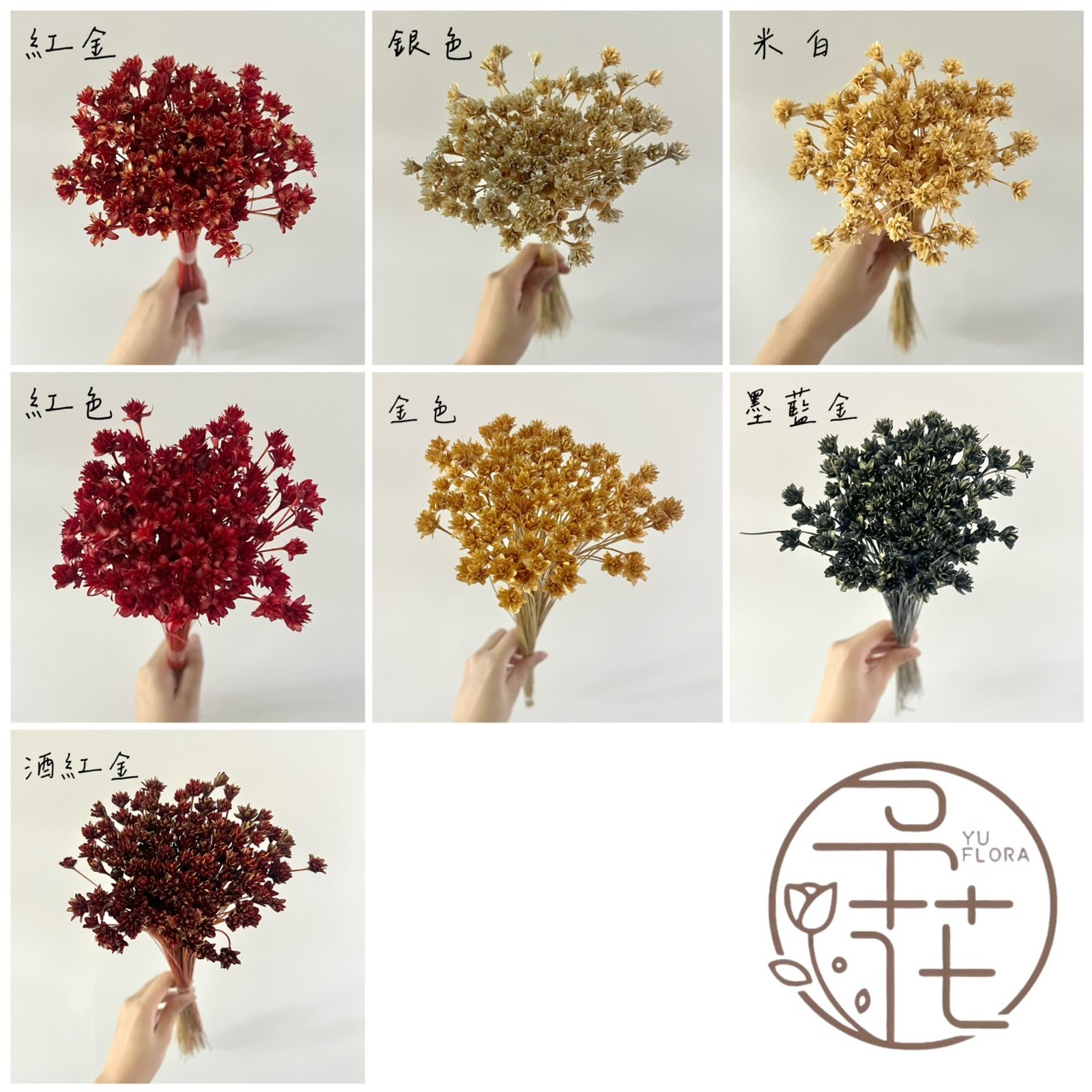 義大利乾燥松毬