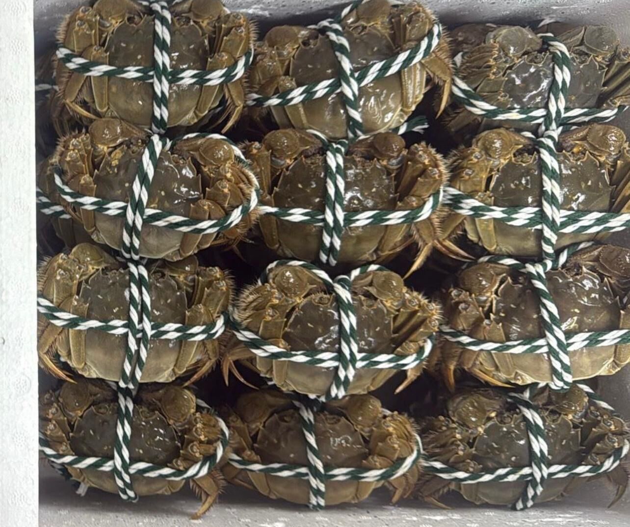 【直播】 LL102305 三陽行 大閘蟹(單隻裝)