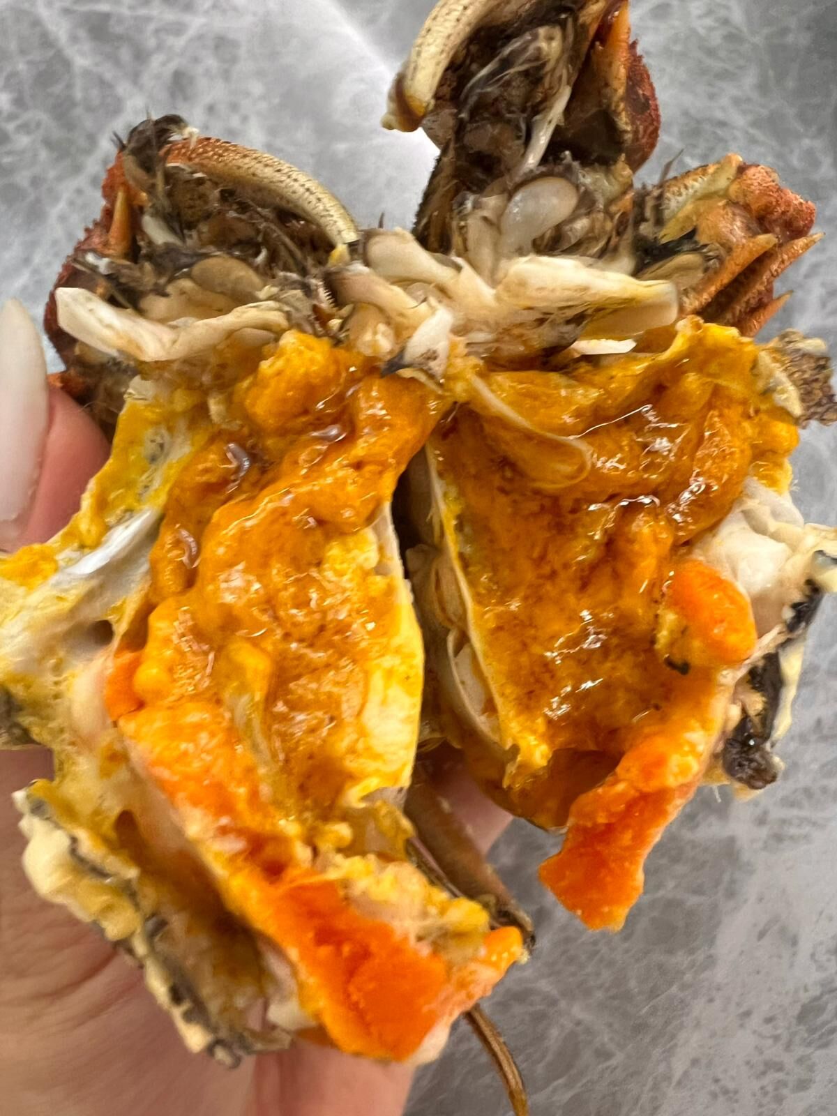 【直播】 LL102303 三陽行 鮮拆大閘蟹蟹粉/蟹膏