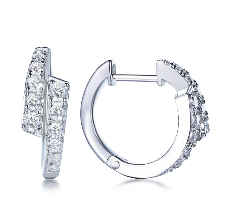 AP50 E3995 BCLP-E Big Huy Earrings $380