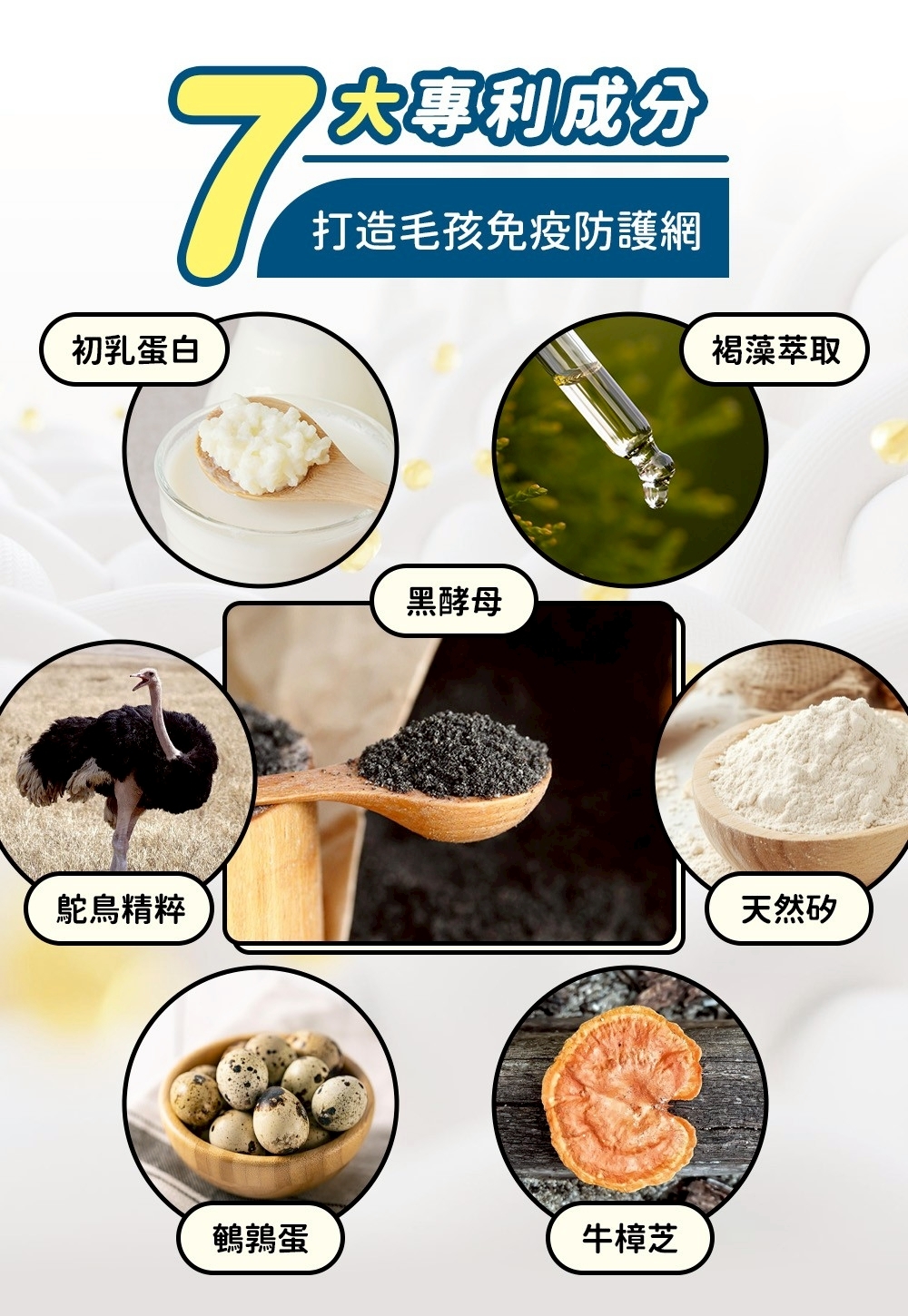 活力爪子 黑酵母 7大專利成分