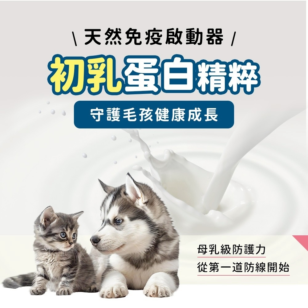 活力爪子 黑酵母 初乳蛋白精粹