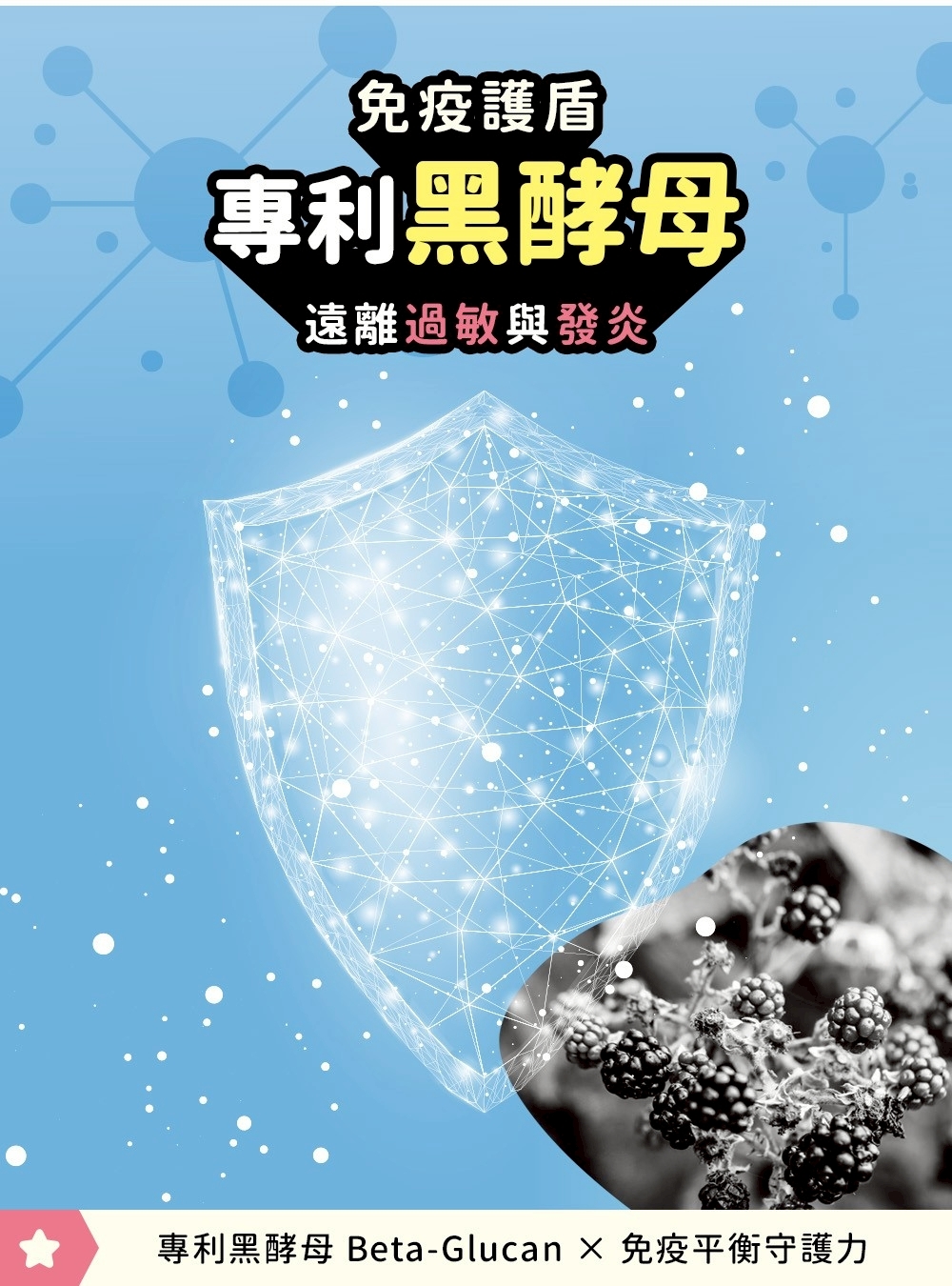 活力爪子 專利黑酵母