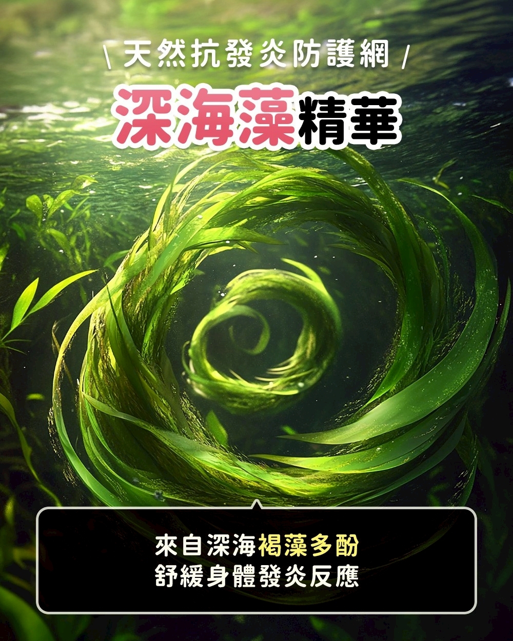 活力爪子 黑酵母 深海藻精華