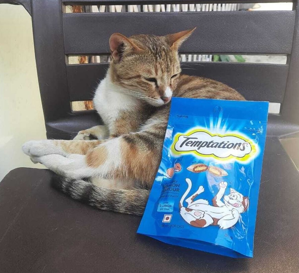 泰國Temptations貓開胃 6款酥脆零食75g  外脆内軟！