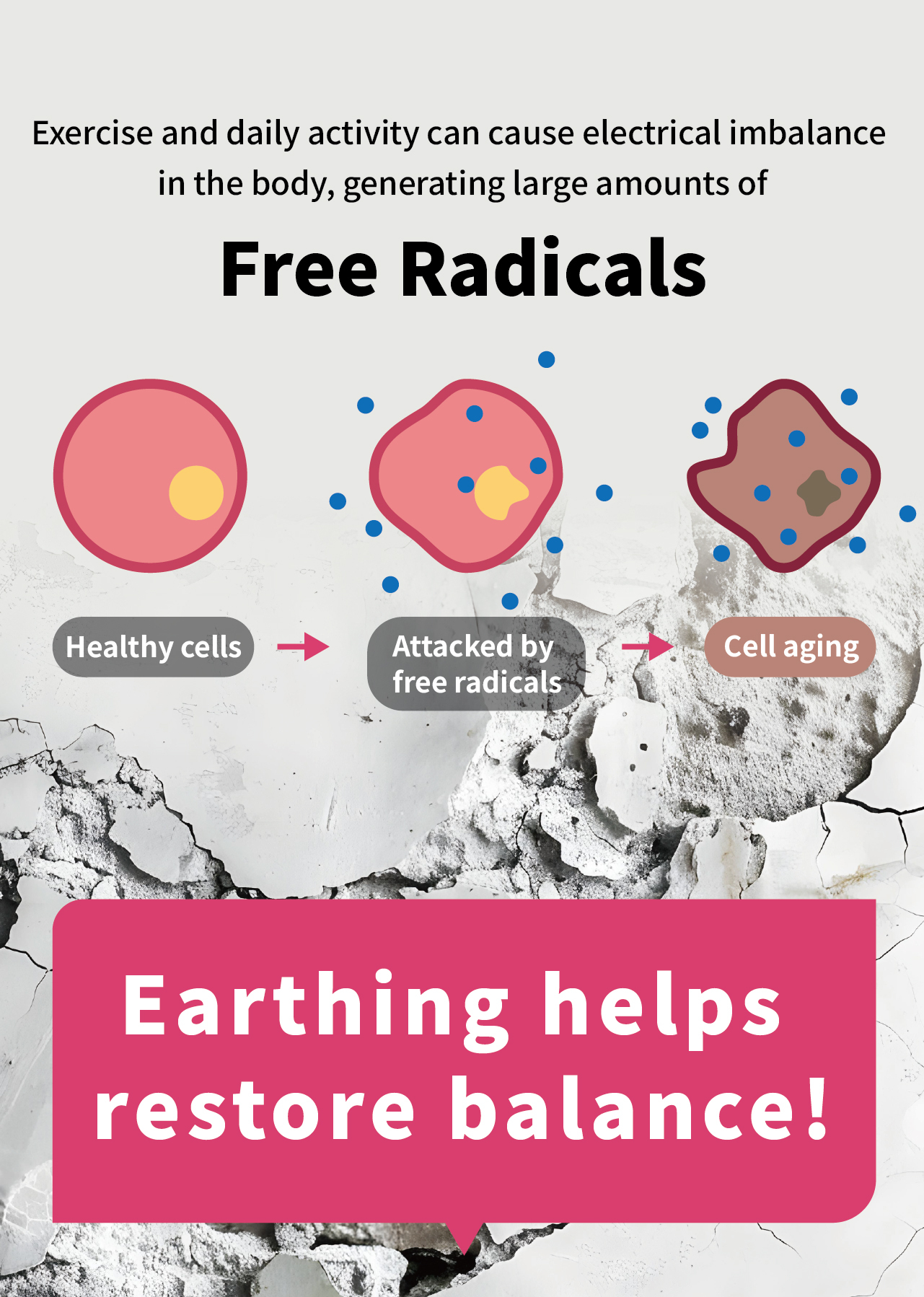 USTINI Leopard Earthing Shoes free radicals & earthing