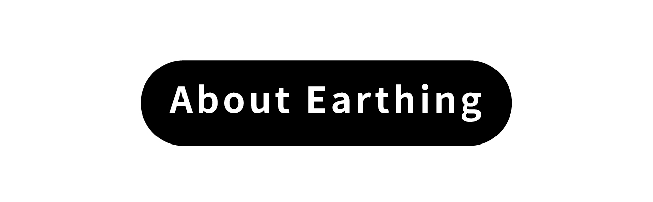 USTINI Leopard Earthing Shoes about earthing