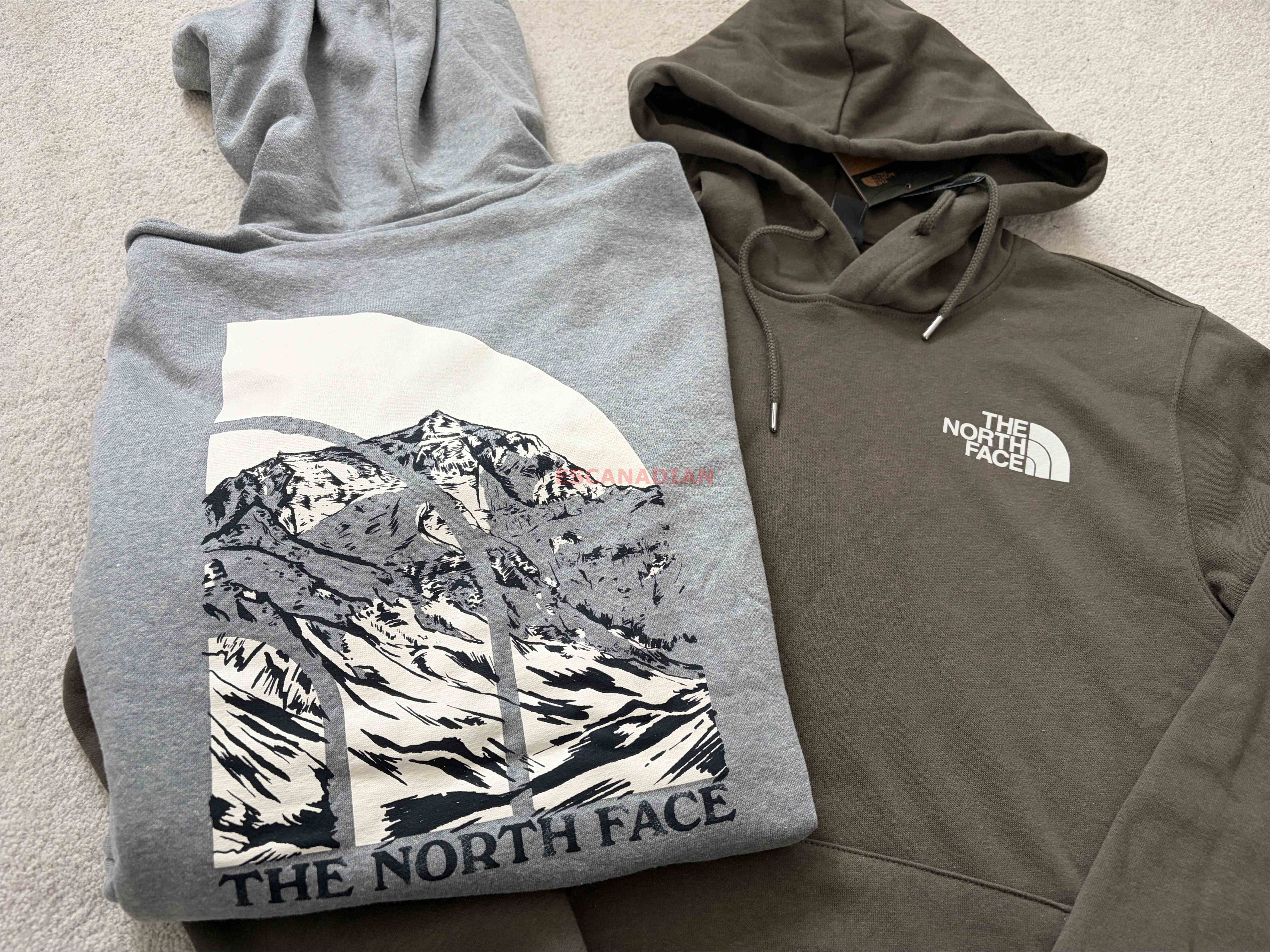 THE NORTH FACE 男大人 雪山正反圖 刷毛 帽TEE (2色) (前小後山脈)