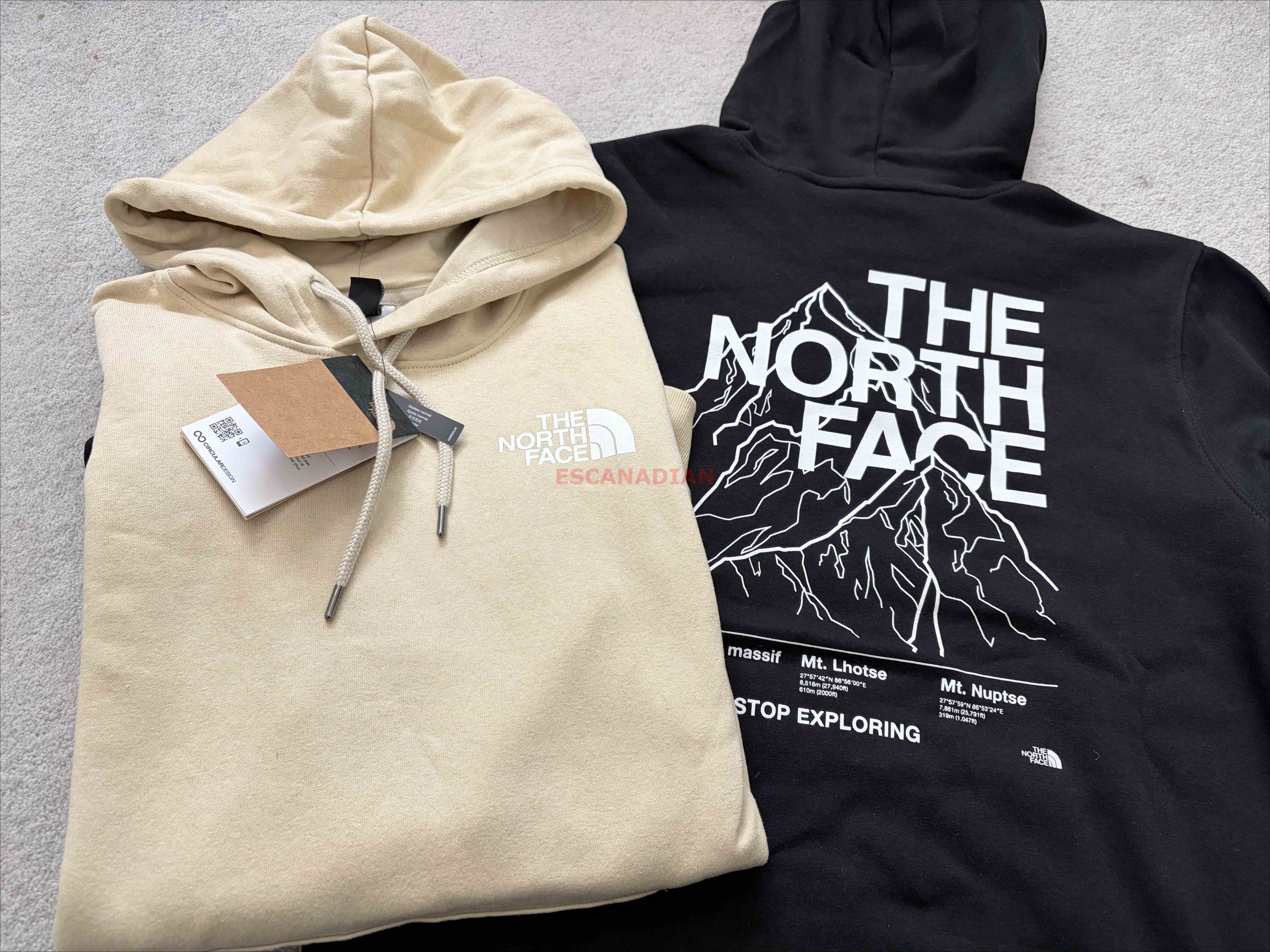 THE NORTH FACE 男大人 背面雪山 刷毛 帽TEE (前小後山脈)