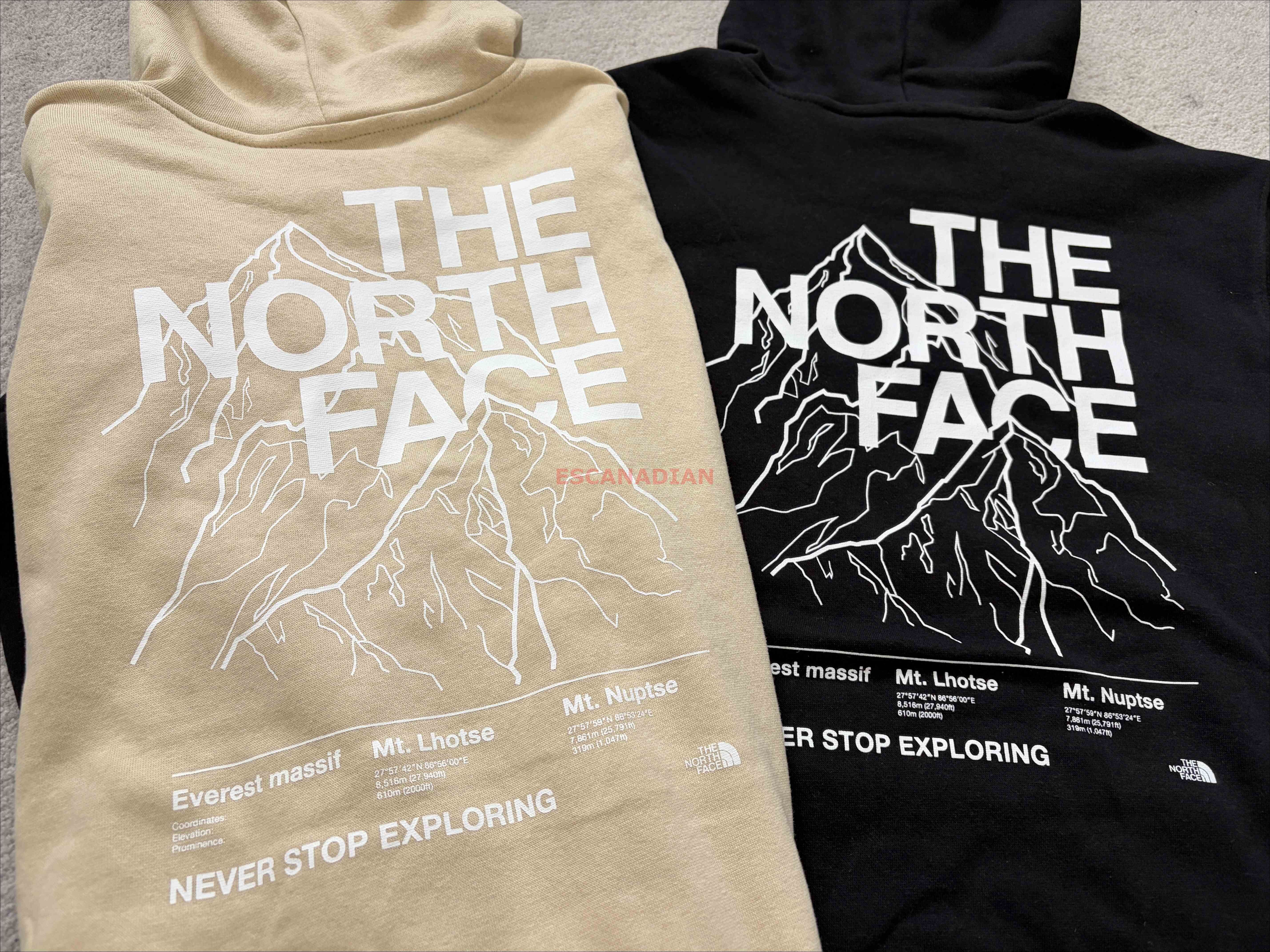 THE NORTH FACE 男大人 背面雪山 刷毛 帽TEE (前小後山脈)