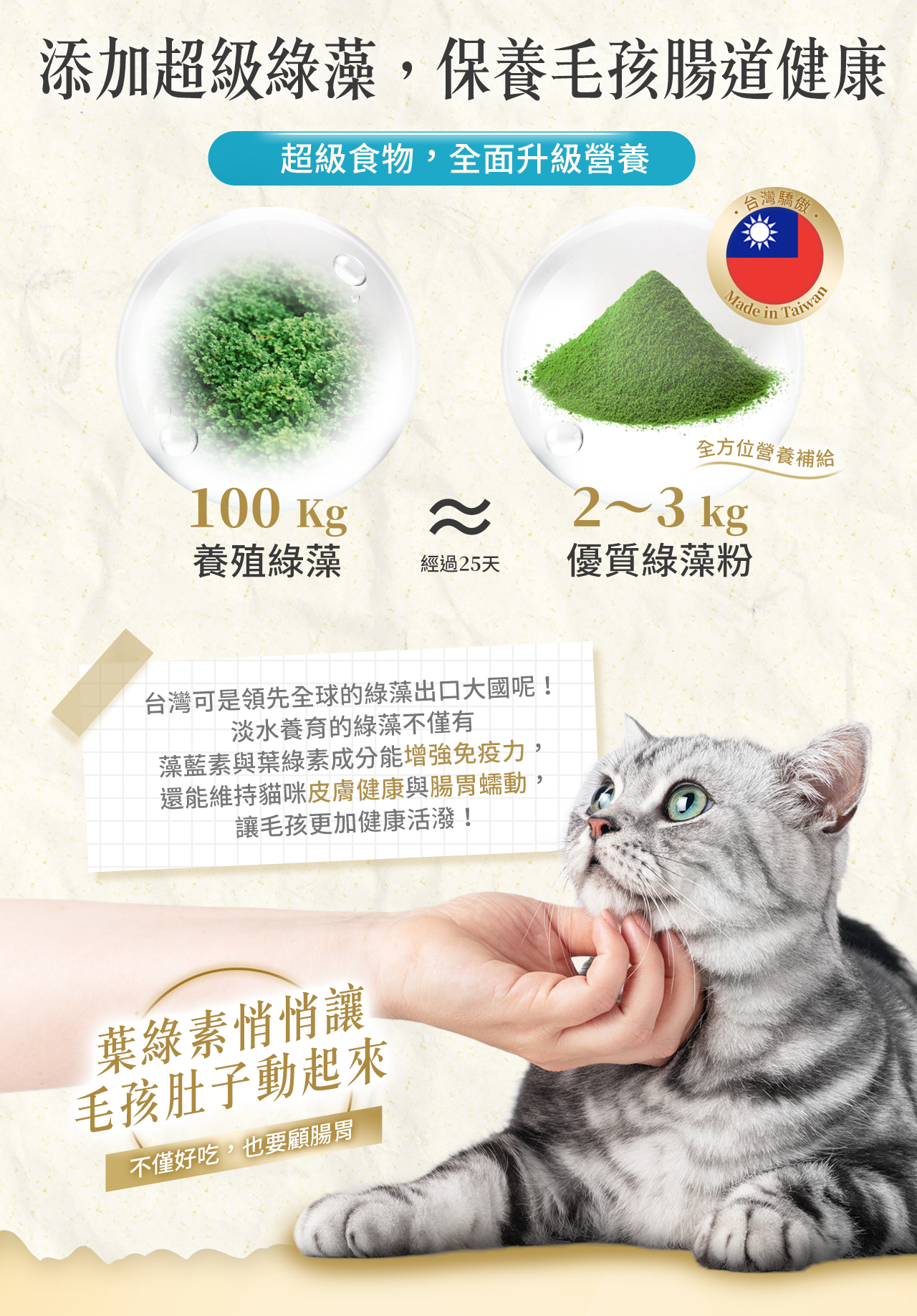 LOUIS大尾肉泥魚油主食餐包_台灣綠藻添加_提升免疫力腸胃健康_貓咪超級食物