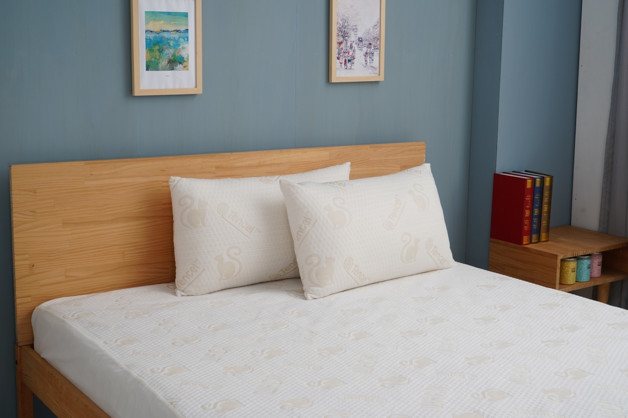 【藍貓Blue cat】頂級天絲羽絲絨枕