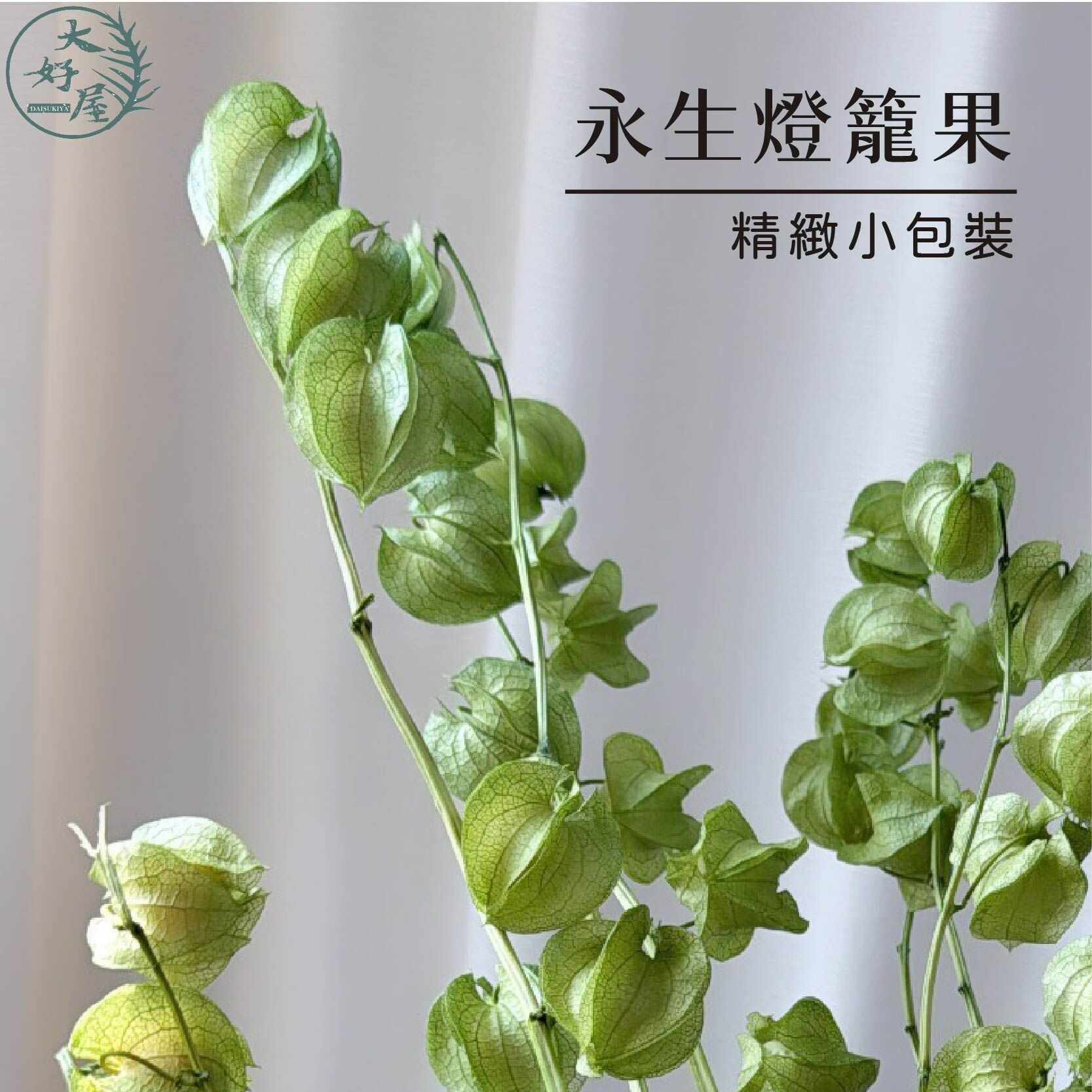 永生燈籠果【10顆裝】