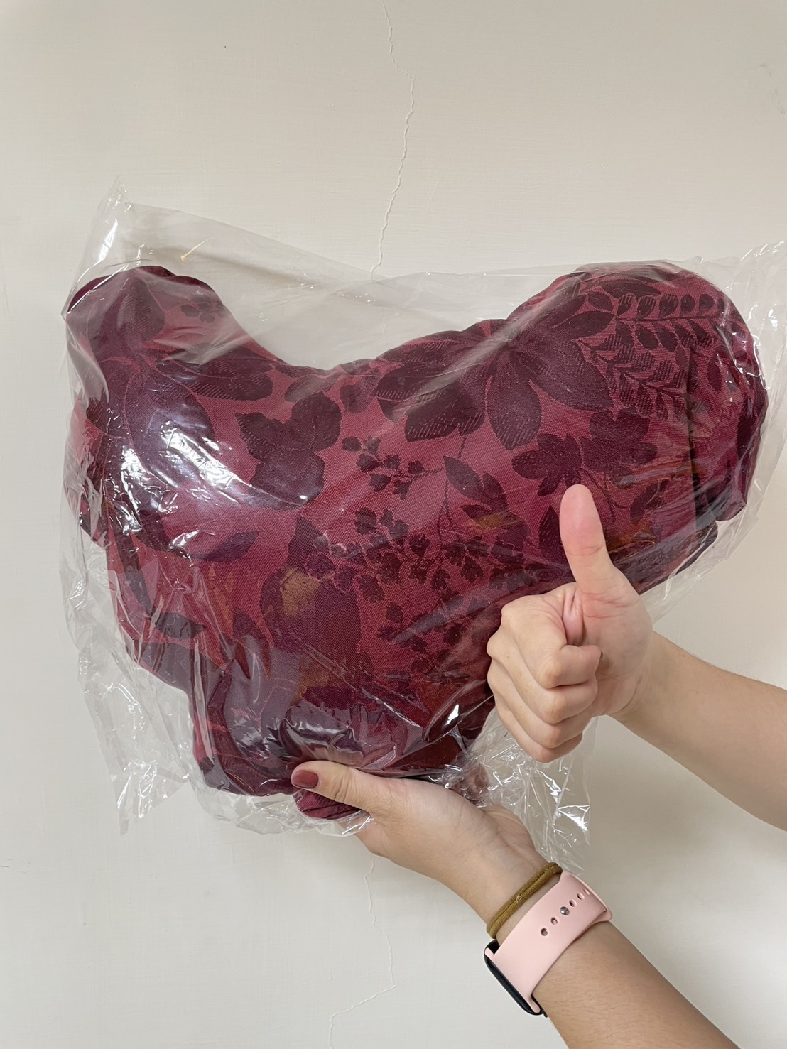 台南院｜抱枕(不挑款)