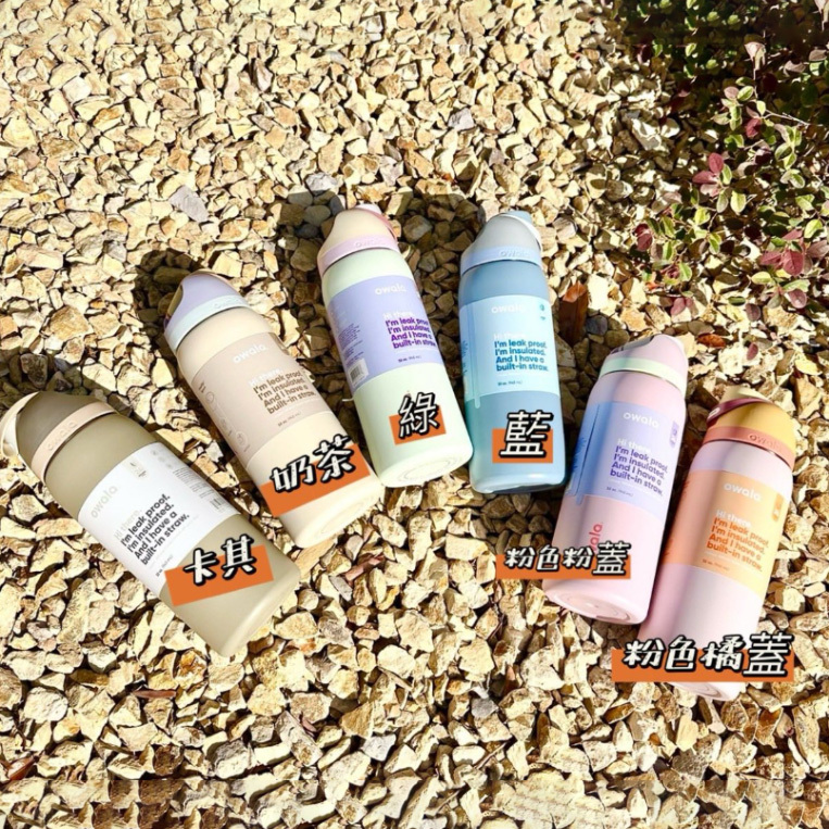 美國 🇺🇸 Owala一鍵開蓋不鏽鋼吸管保溫瓶 950ml