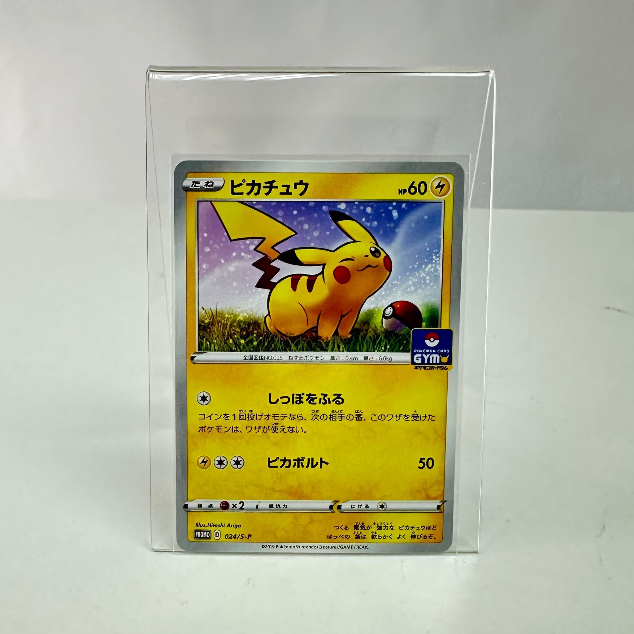 024/S-P 皮卡丘 GYM Battle Promo Pokemon Japanese Raw Card