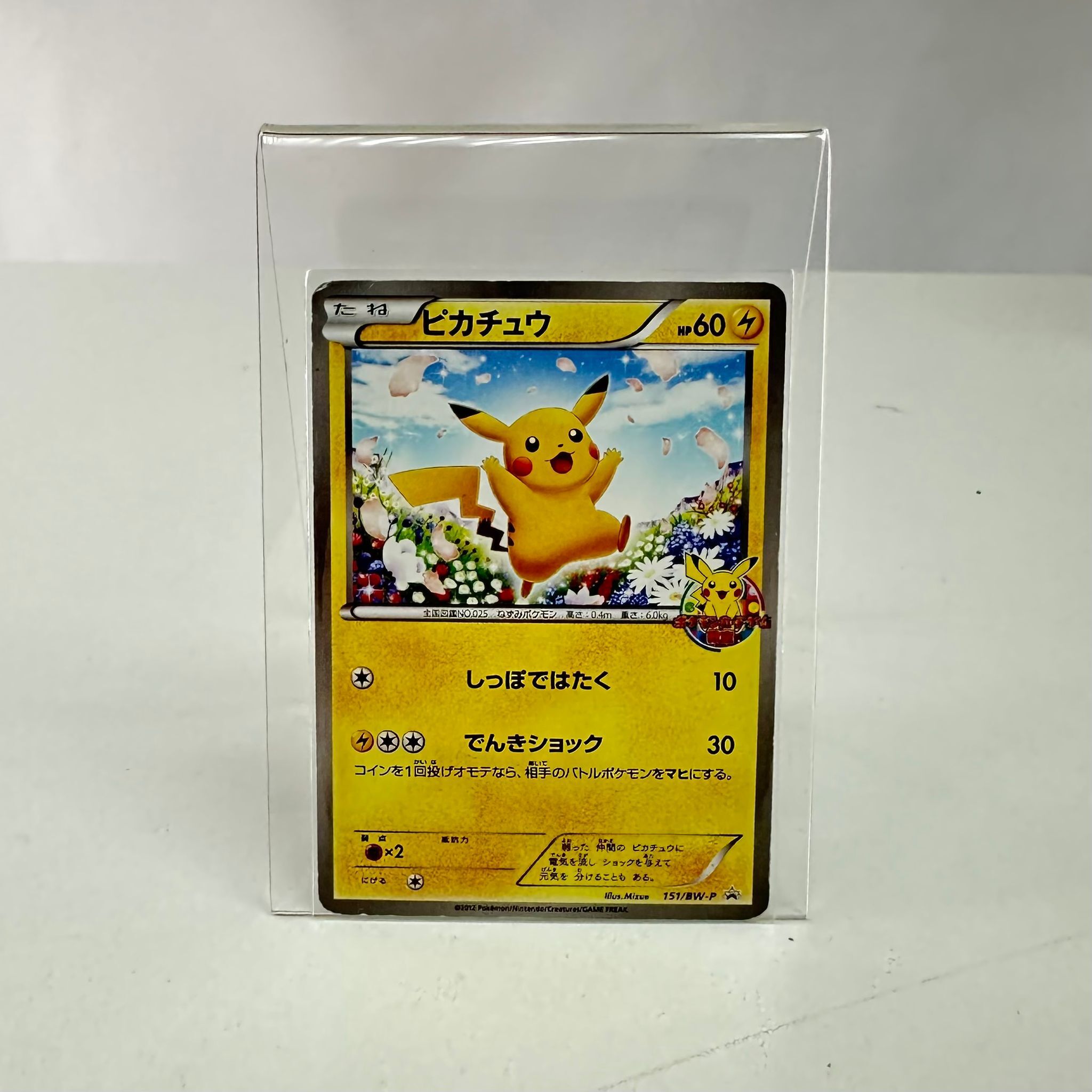 151/BW-P 皮卡丘 B&W CLASSROOM PRIZE Promo Pokemon Japanese Raw Card