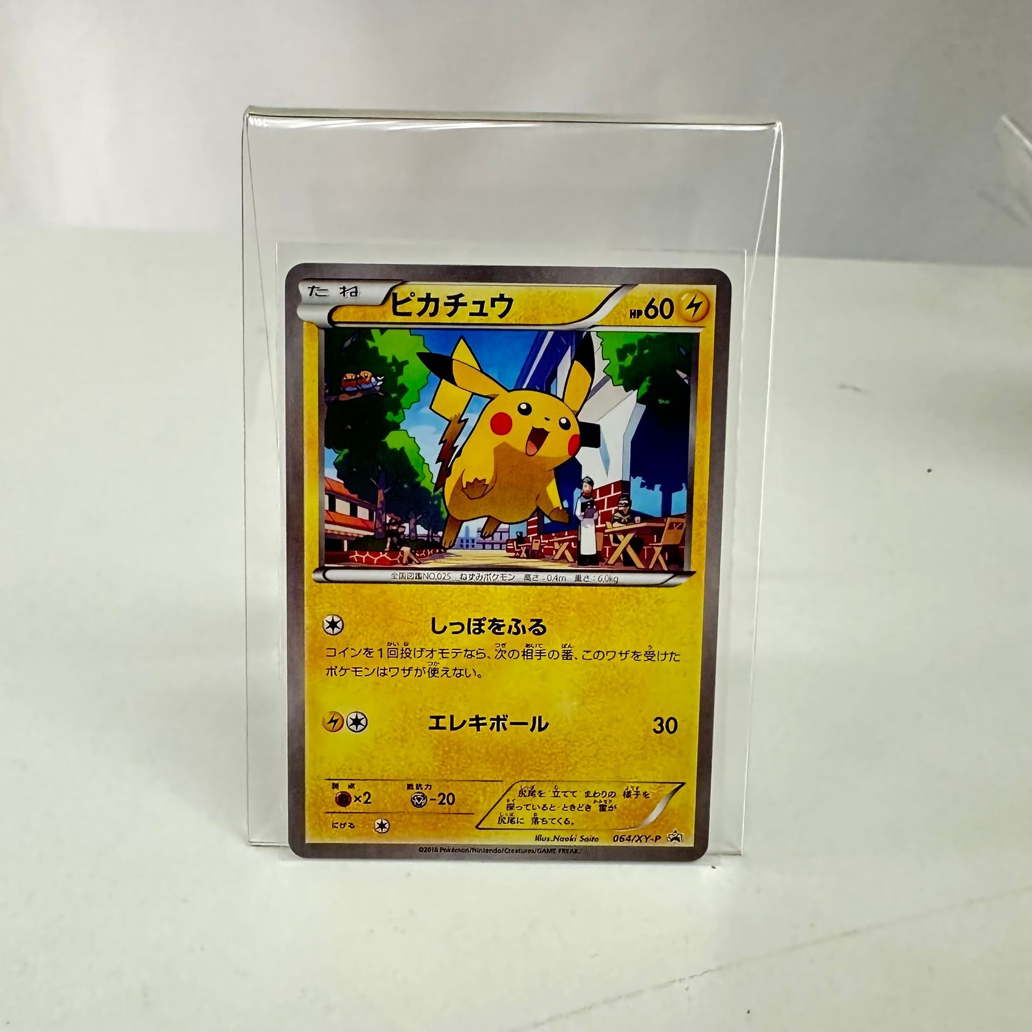 064/XY-P 皮卡丘 Promo Pokemon Japanese Raw Card