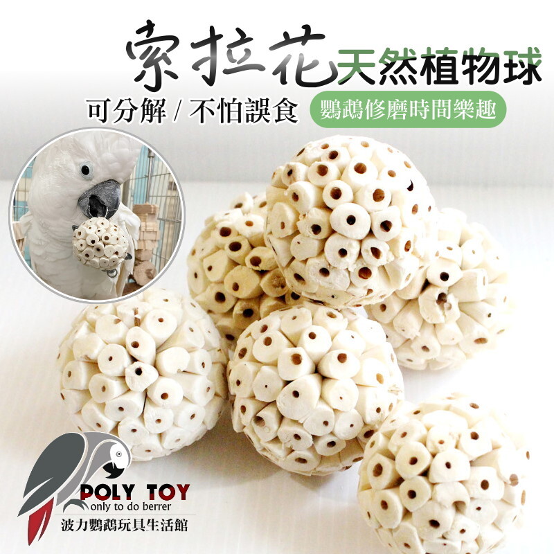 索拉花 天然植物 可分解 不怕誤食 鸚鵡玩具 益智玩具 鸚鵡啃咬玩具 波力鸚鵡玩具生活館