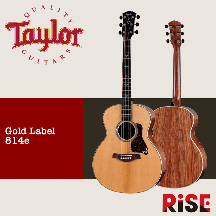 Taylor Gold Label 814e Koa 雲杉木 全單板 木吉他