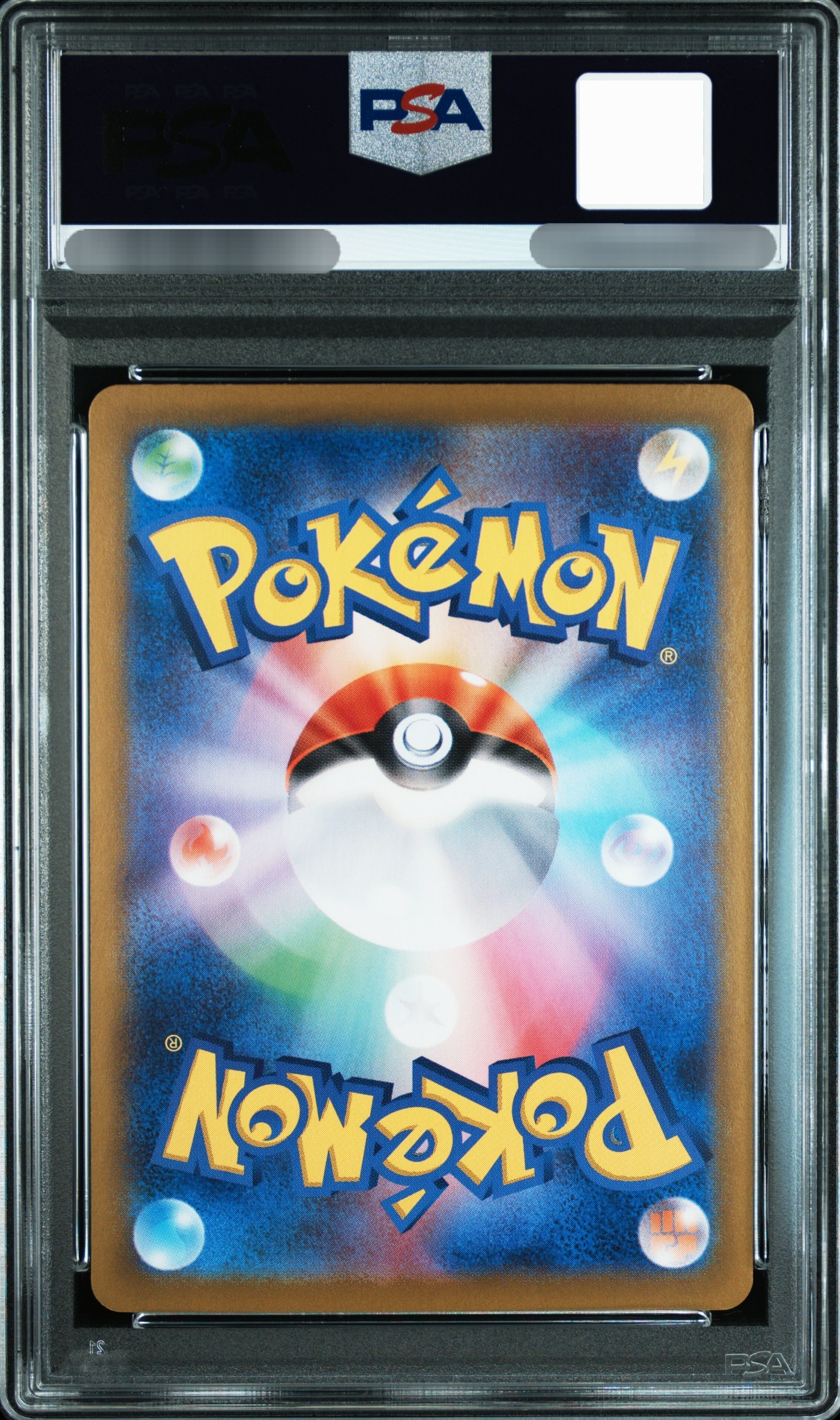 【PSA 10】2025 Pokemon SV-P JP IONO'S WATTREL SV9 BOX PURCHASE CAMPAIGN
