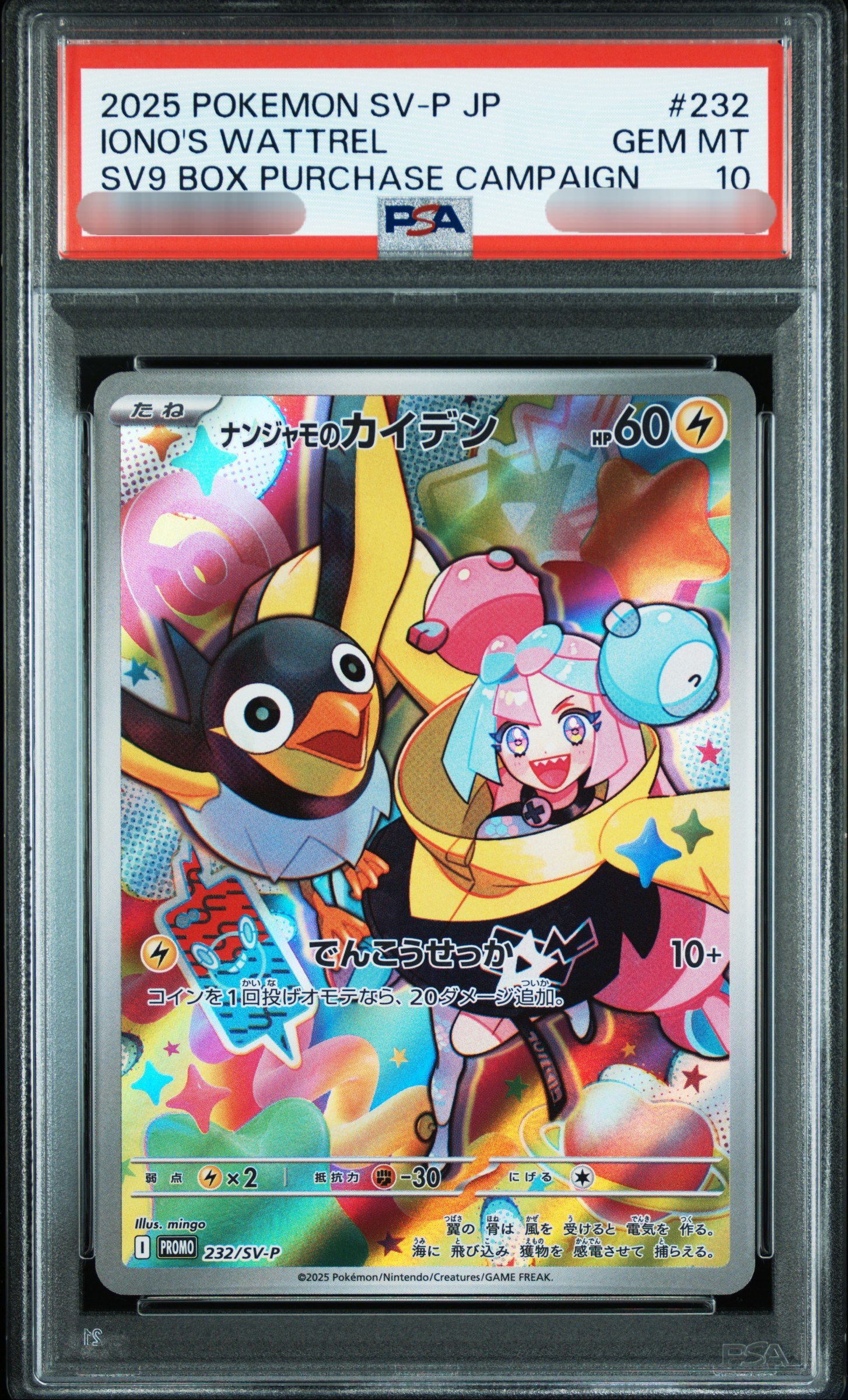 【PSA 10】2025 Pokemon SV-P JP IONO'S WATTREL SV9 BOX PURCHASE CAMPAIGN