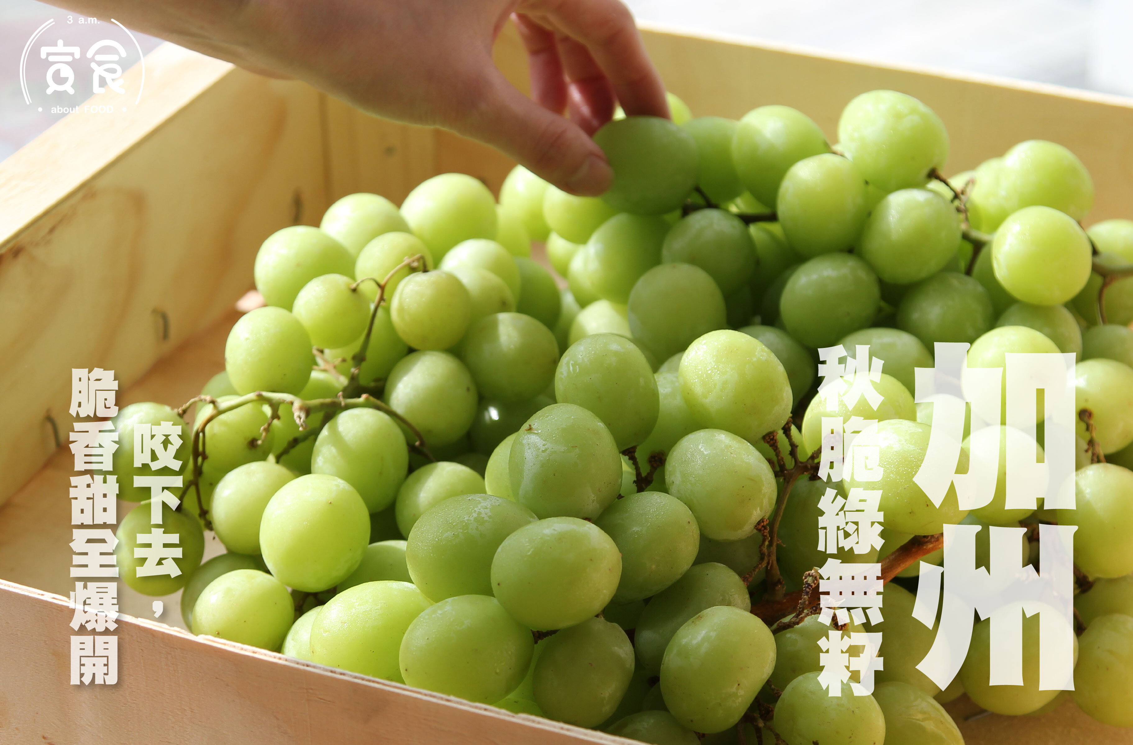 【熱銷第一推薦💚】加州秋脆綠無籽葡萄