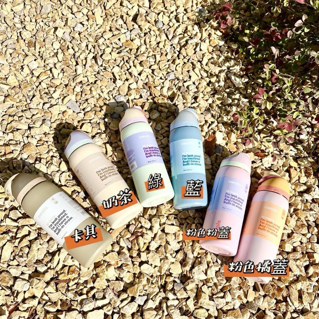 (預購商品) 美國 Owala 馬卡龍配色一鍵開蓋不鏽鋼吸管保溫瓶 945ml