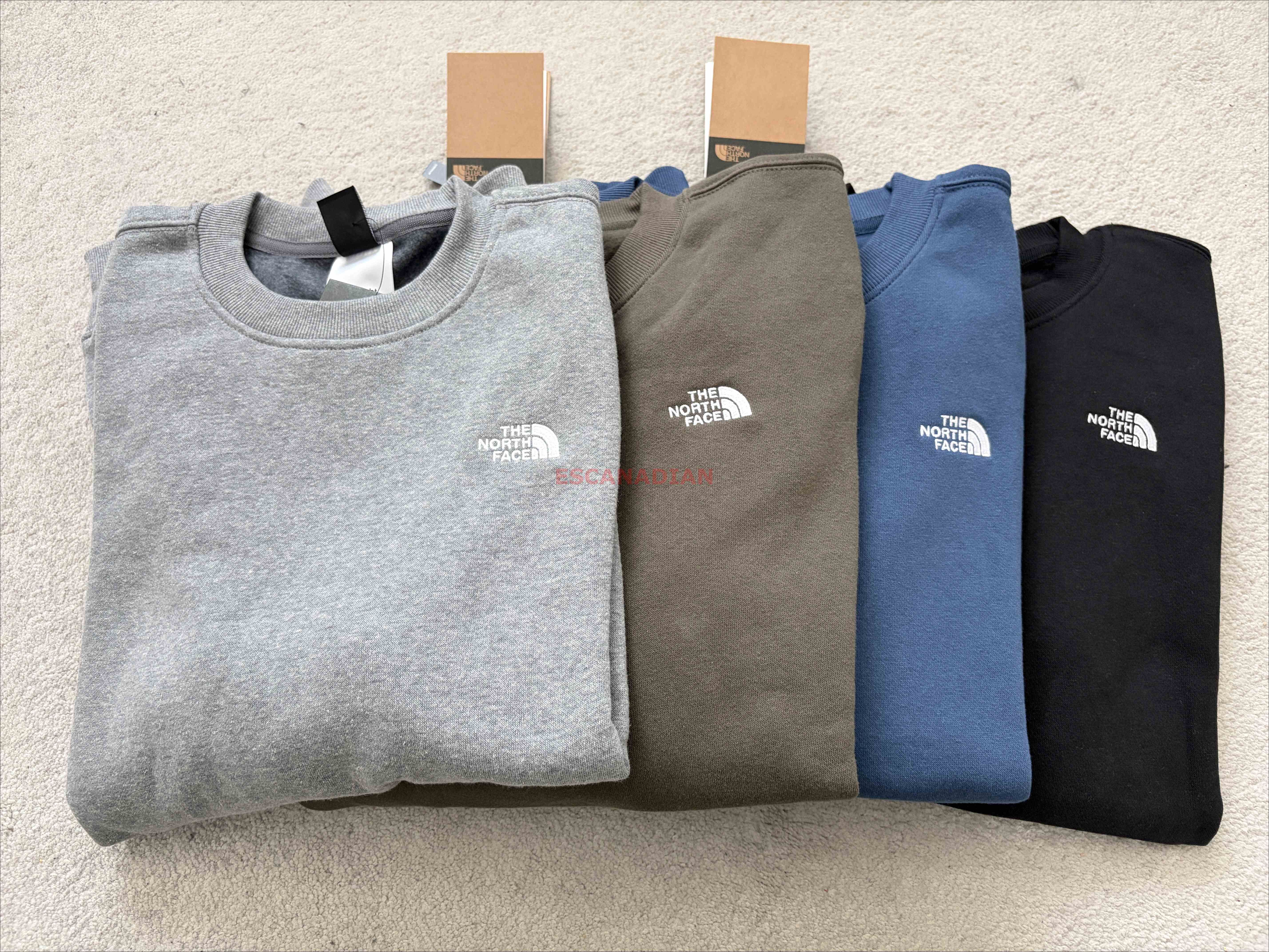 THE NORTH FACE 男大人 刺繡標 刷毛 大學TEE (4色)