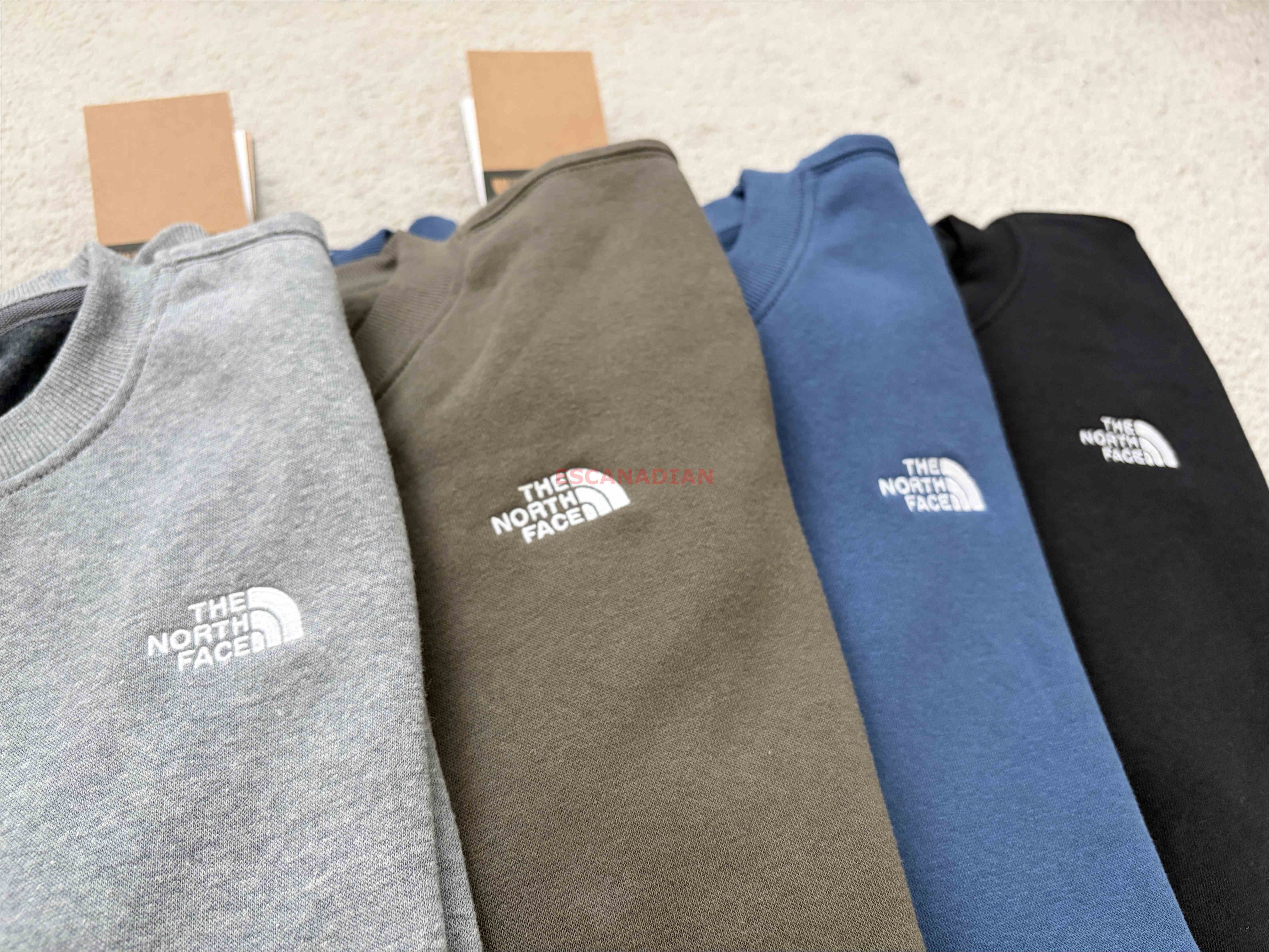 THE NORTH FACE 男大人 刺繡標 刷毛 大學TEE (4色)