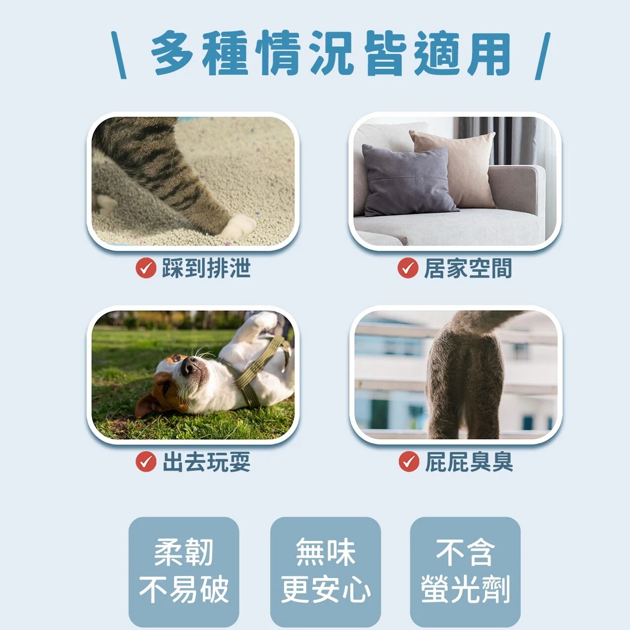 Missbebe 想比比｜犬貓寵物清潔手套6入 乾濕兩用