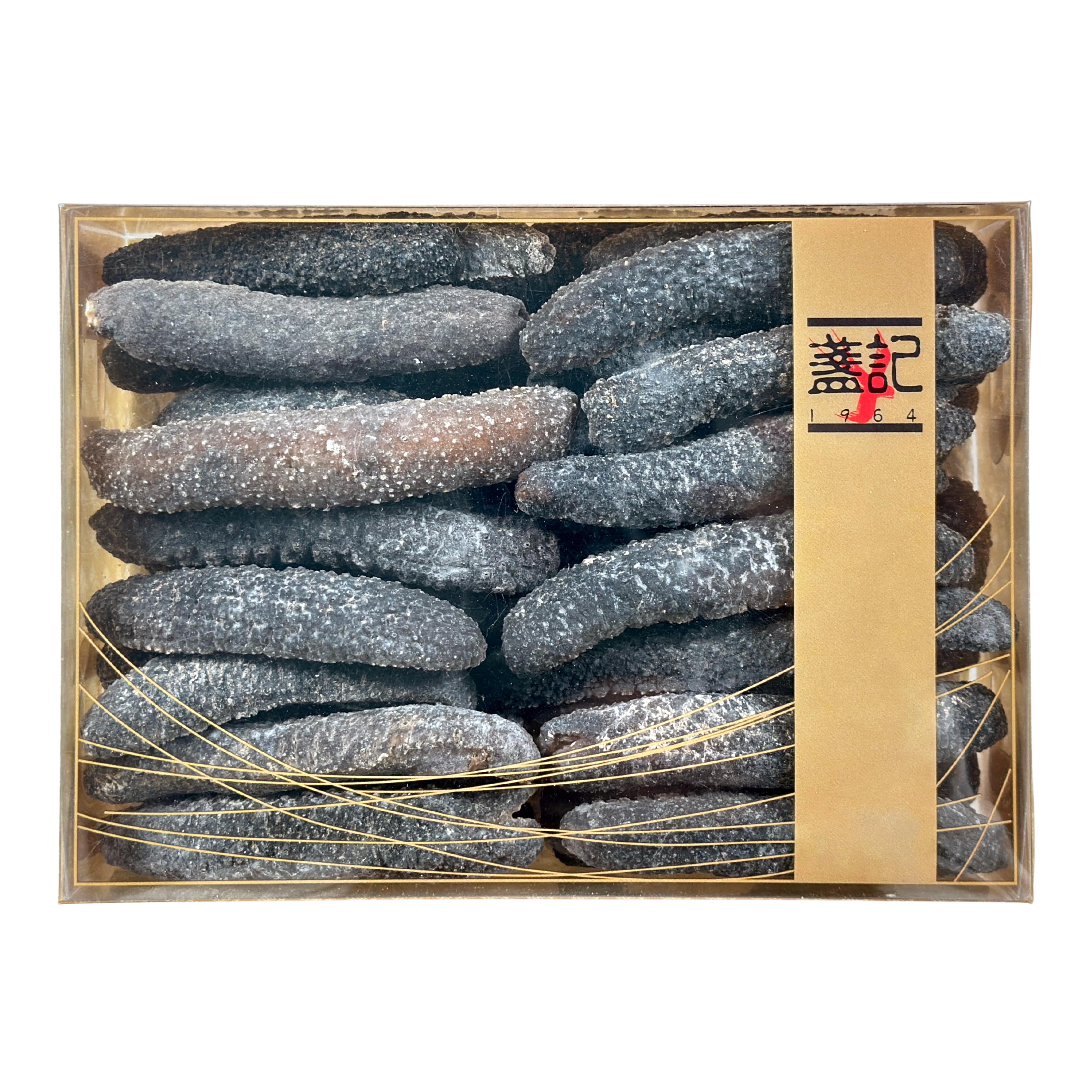 中東禿參(中) (1斤禮盒裝)