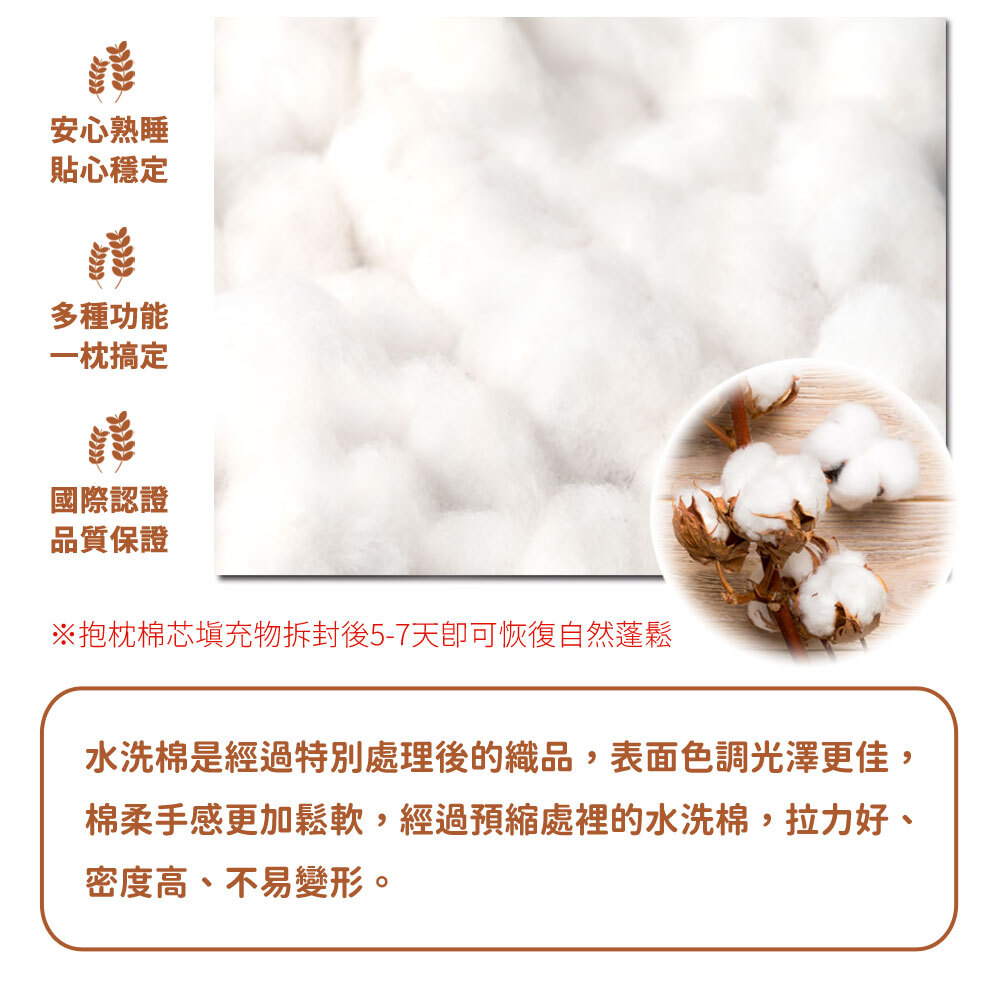 【日本旭川】AIRFit日本生命磁氧活力石墨烯側睡抱枕