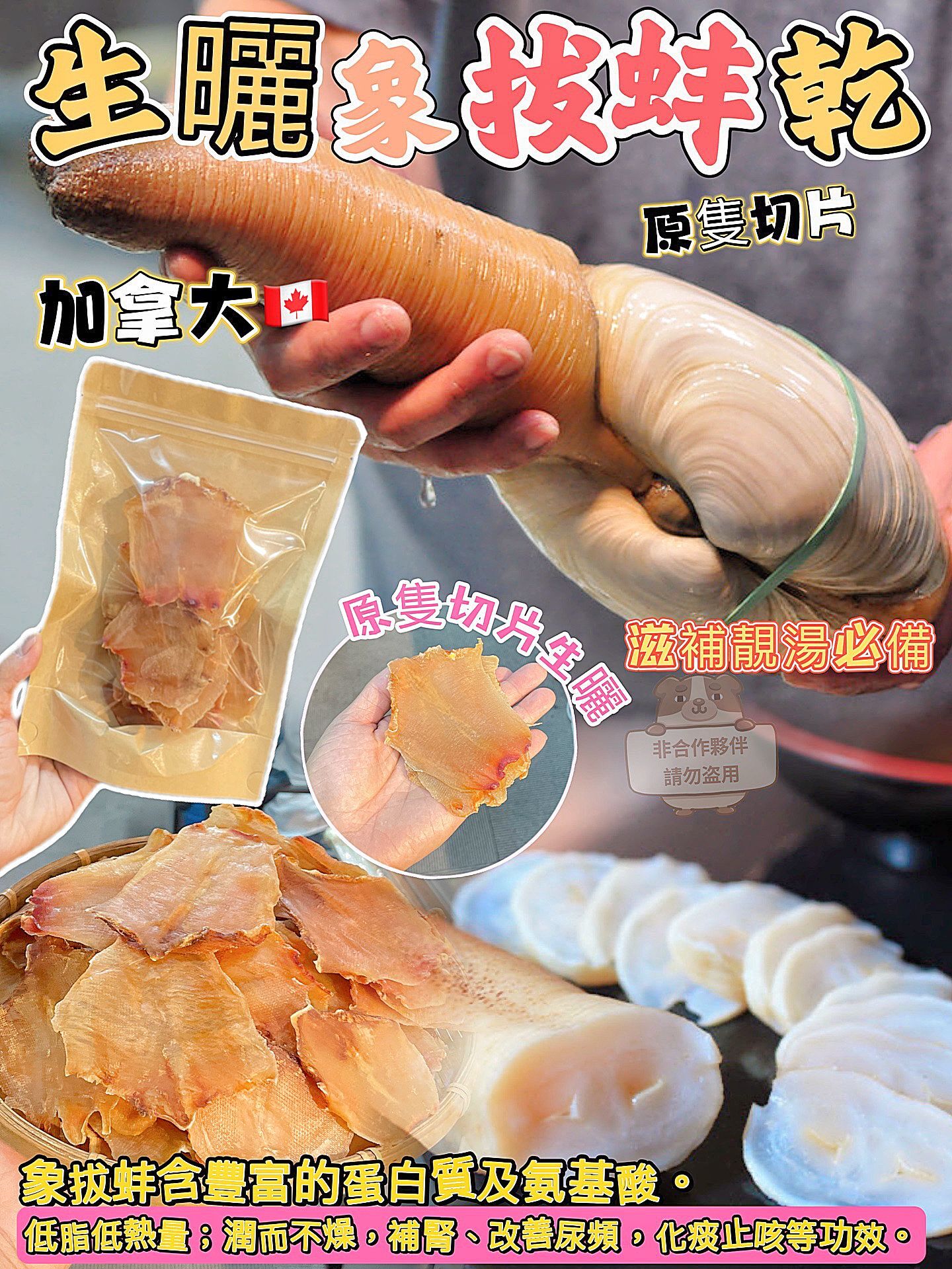 加拿大 CA 生曬象拔蚌乾 (100g) [#SQ25102201]