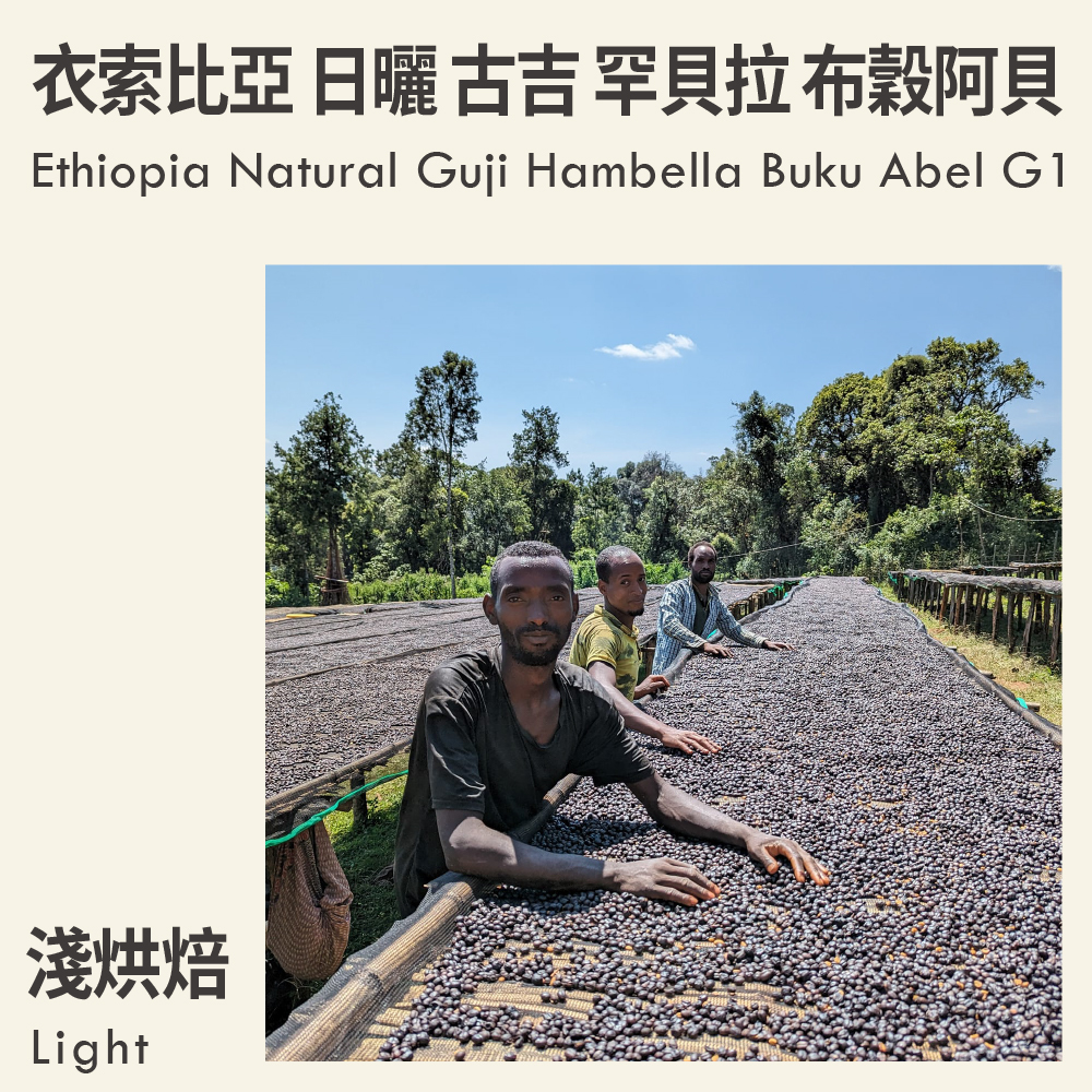 衣索比亞 日曬 古吉 罕貝拉 布穀阿貝 G1