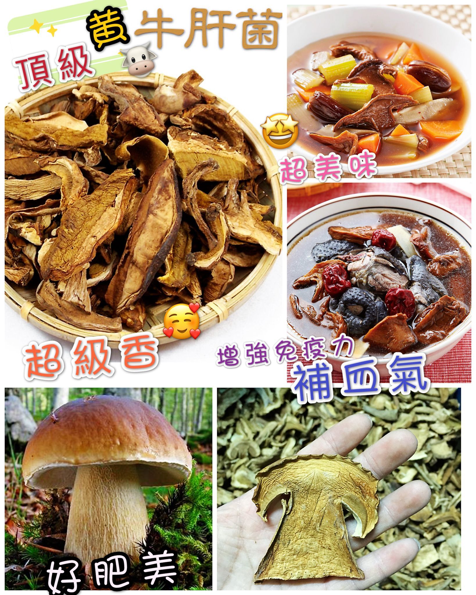 頂級黄牛肝菌 (150g) [#SQ25102202]
