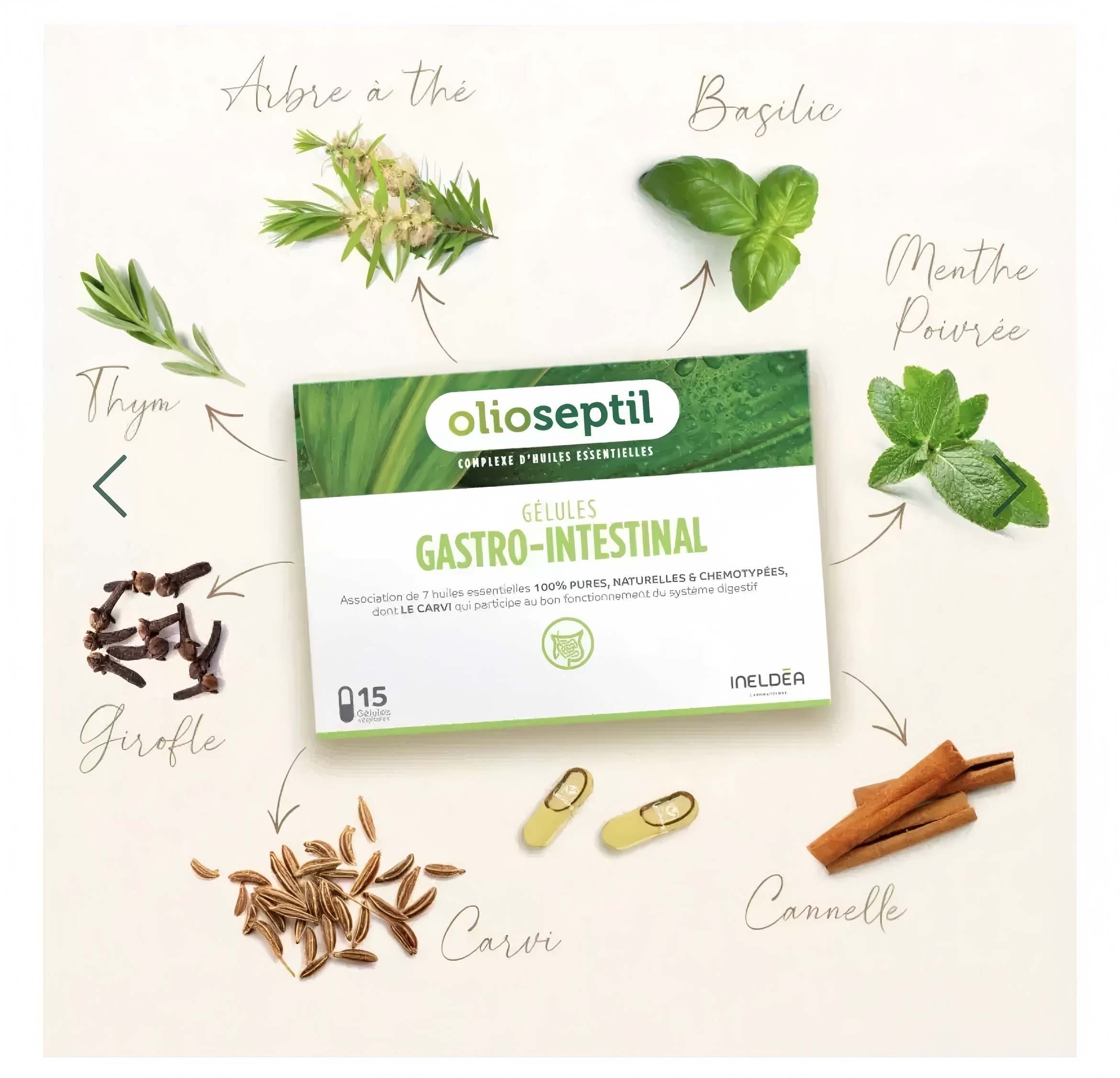 Olioseptil久木之名【正品】法國 舒胃寶養胃油口服精油膠囊 調理腸胃痛消化 15粒/盒